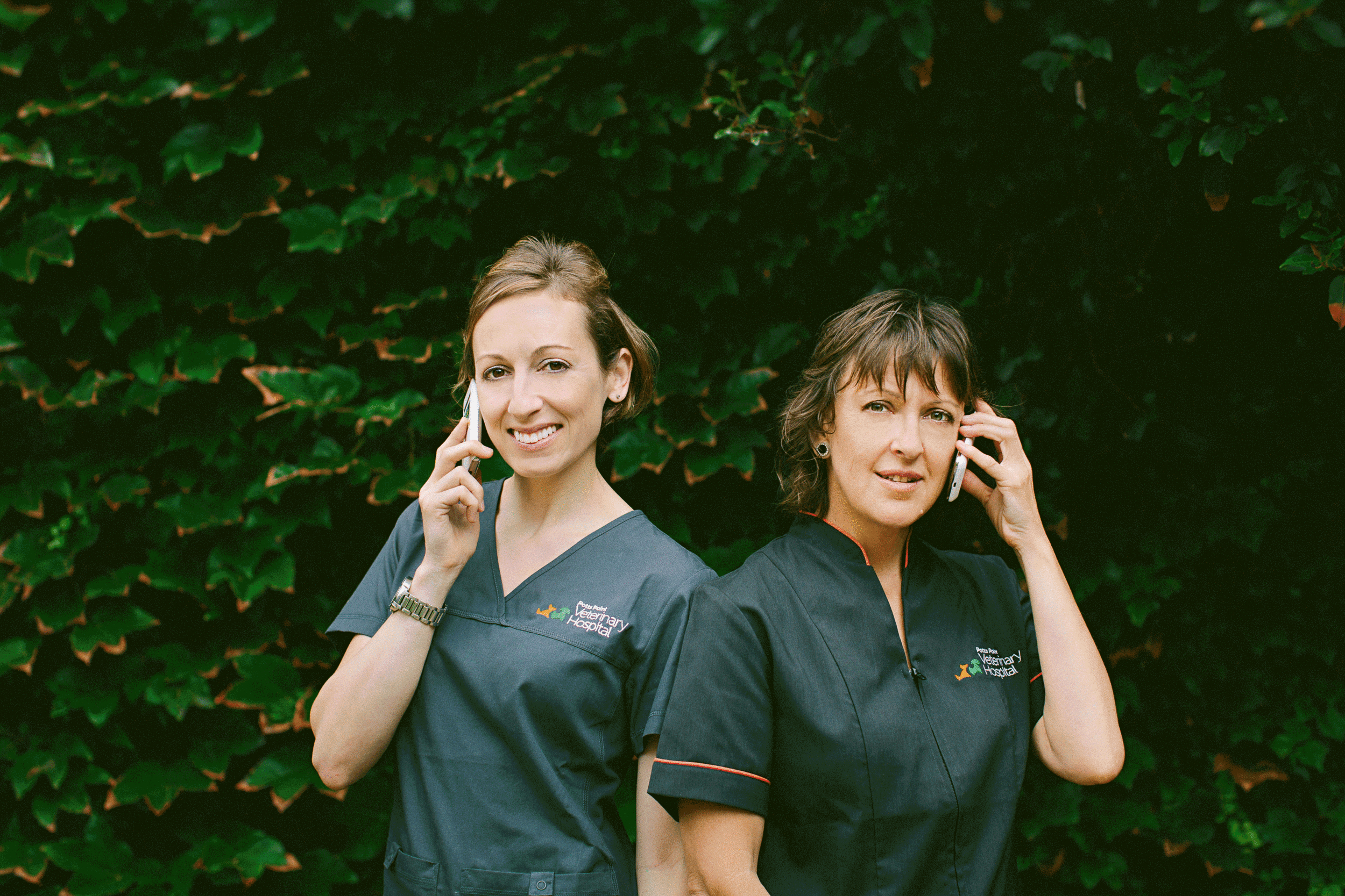twoguineapigs_potts_point_vet_hospital_contact_us.gif