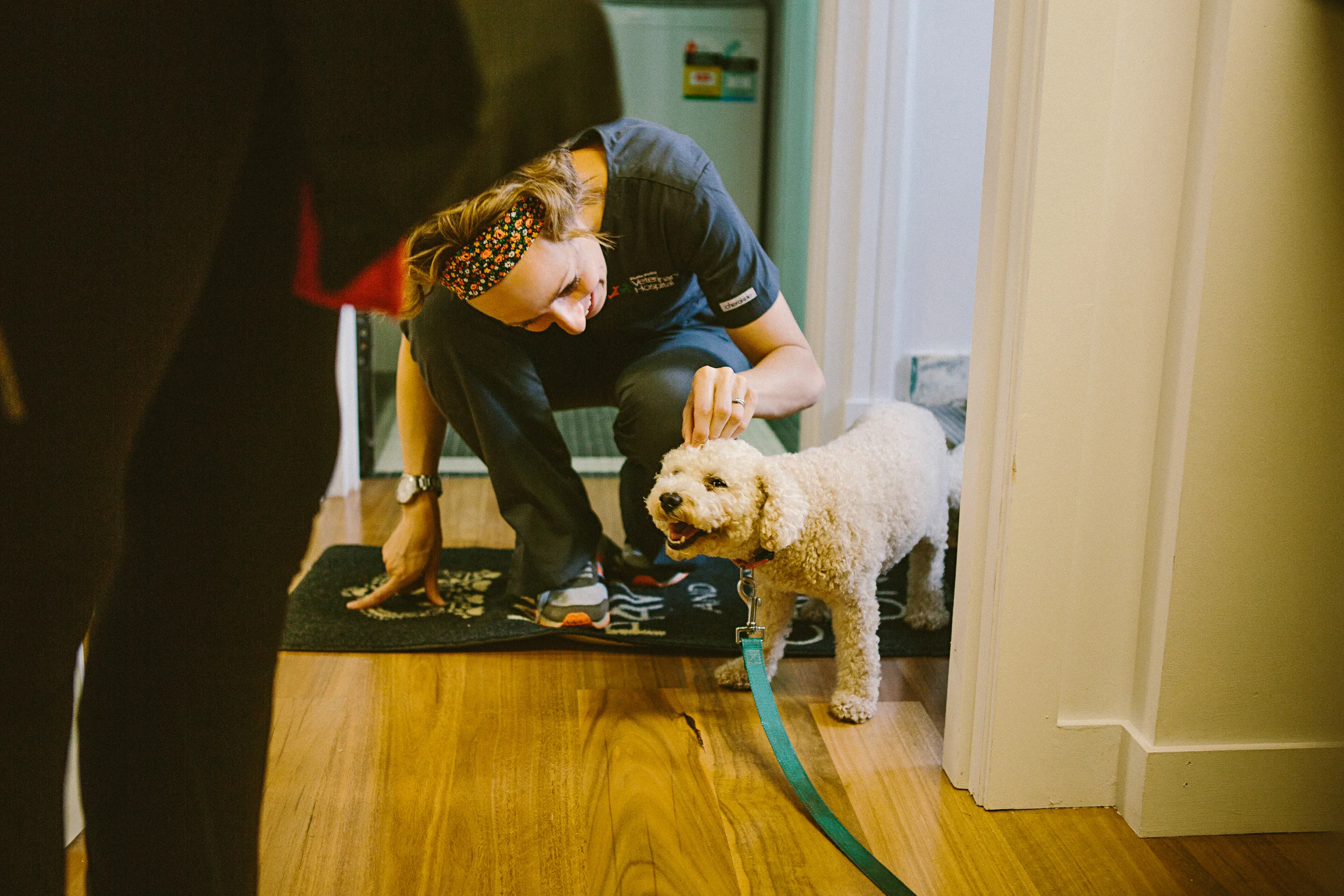 twoguineapigs_potts_point_vet_hospital_open_day-2.jpg