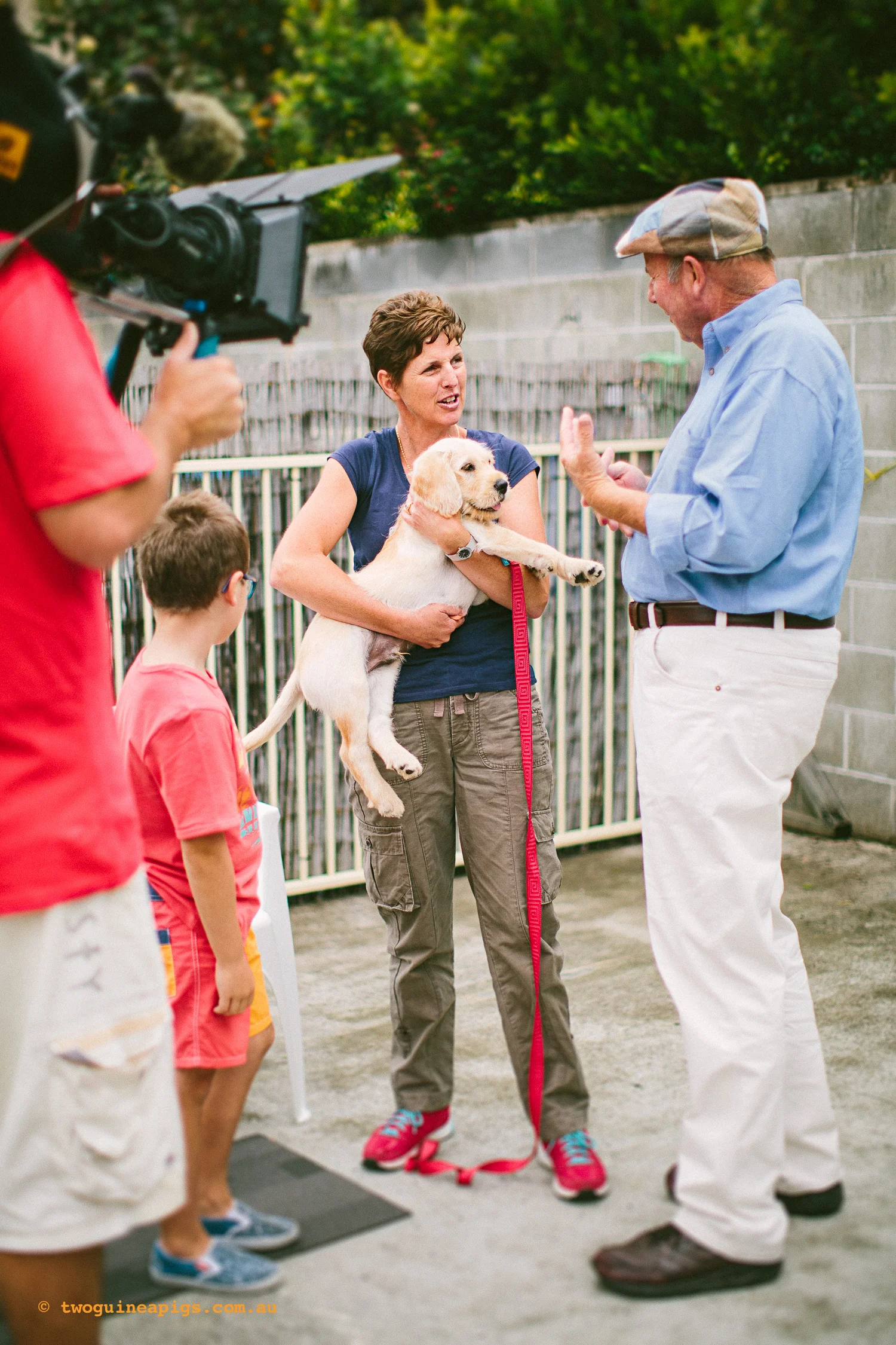 twoguineapigs_amys_puppy_preschool_dr_harry_bhgaus_1500-38.jpg