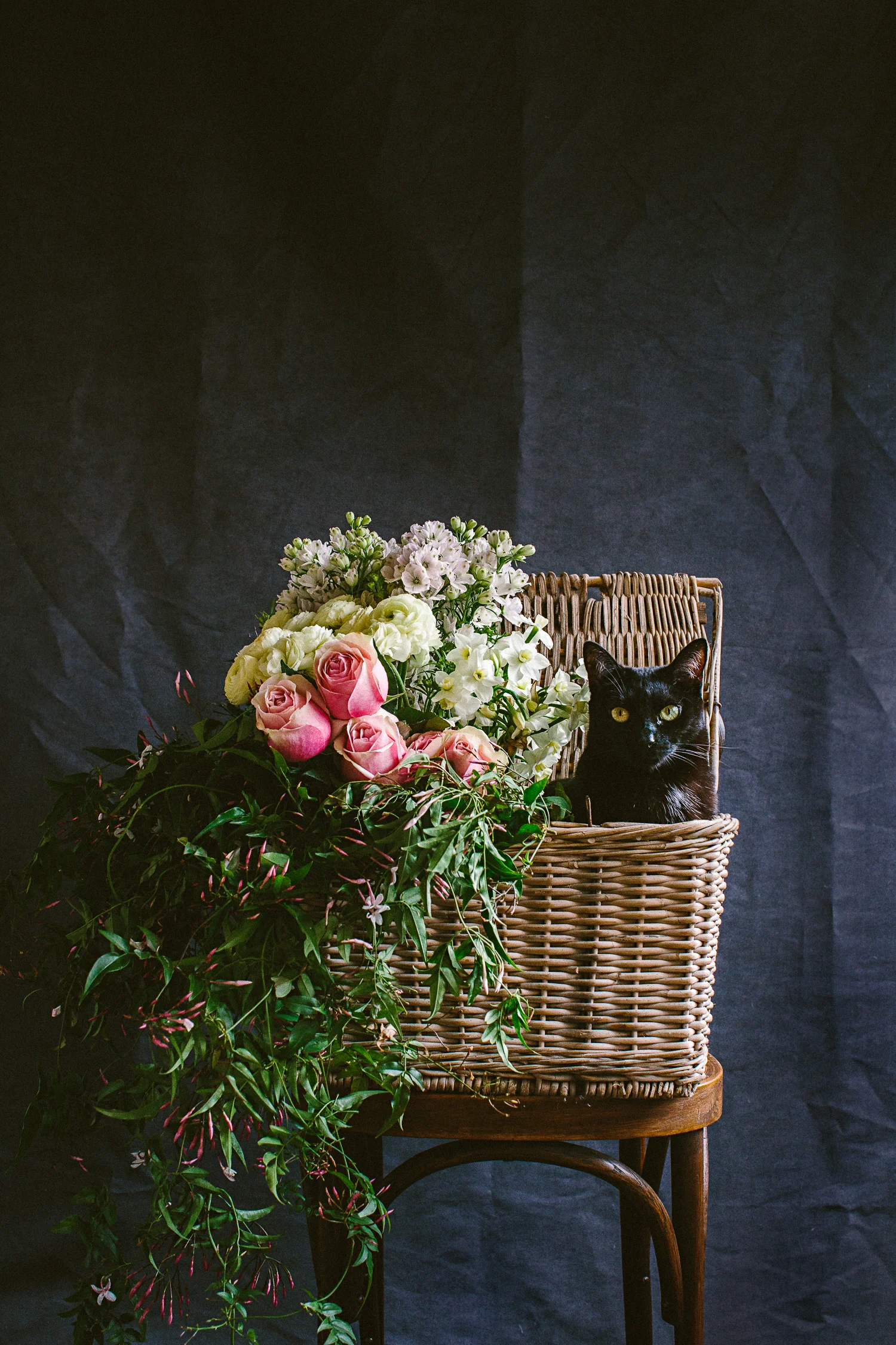 twoguineapigs_photography_ruby_slippers_cat_and_floral_series_1500-15.jpg