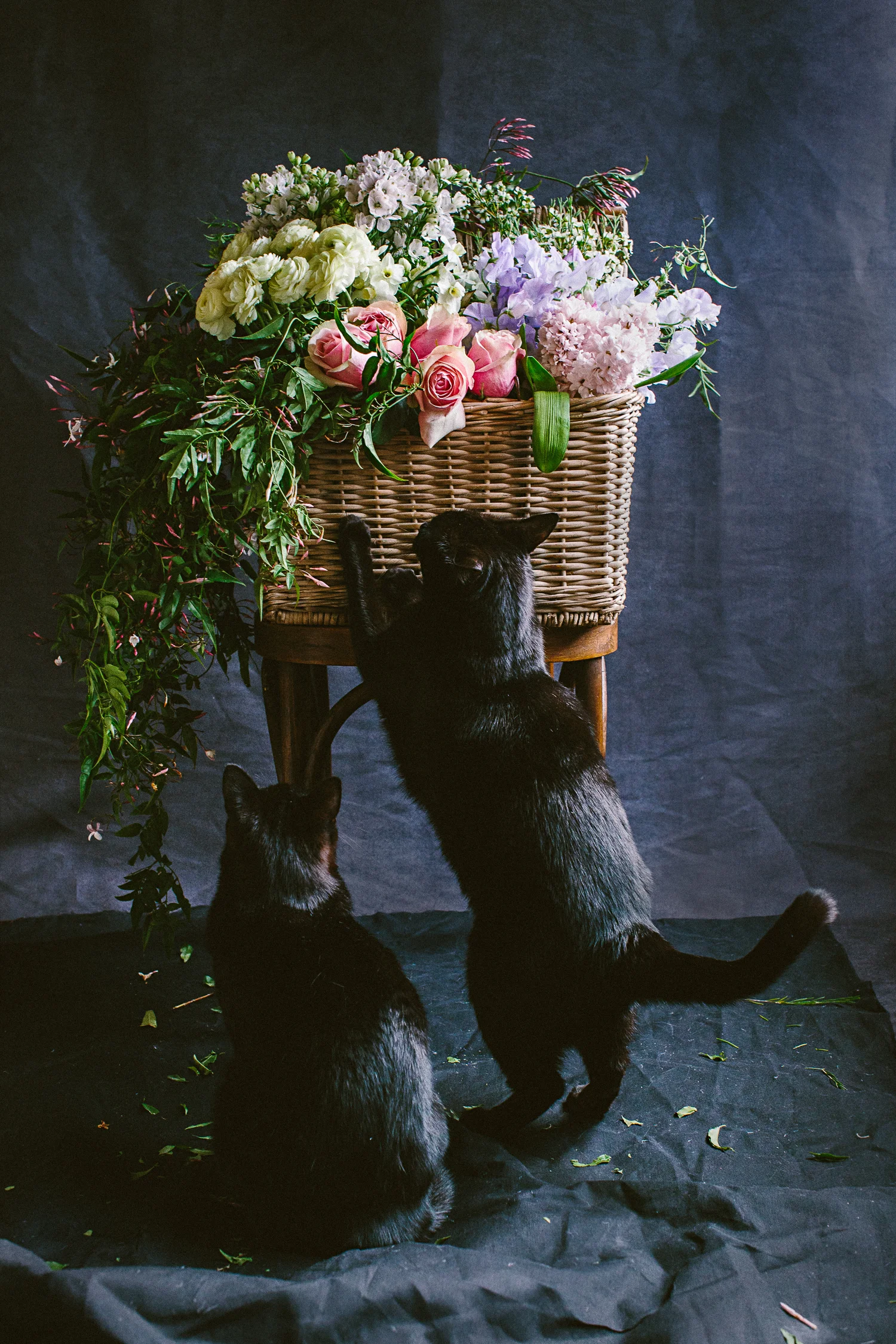 twoguineapigs_photography_ruby_slippers_cat_and_floral_series_1500-22.jpg