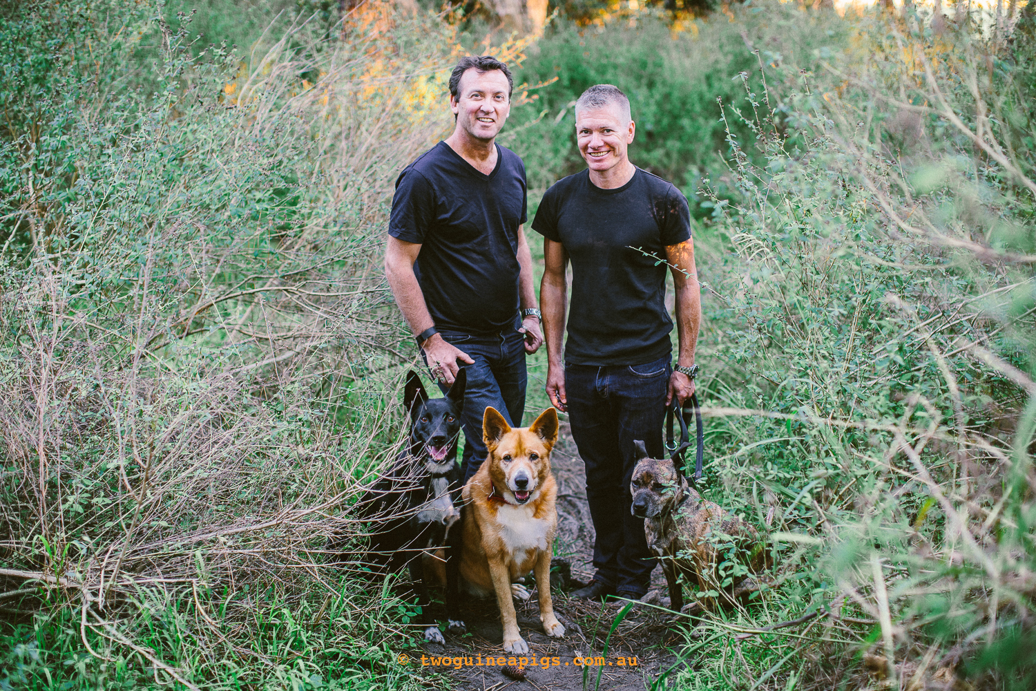 twoguineapigs_pet_photography_australian_cattle_dog_dingo_kelpie_randwick