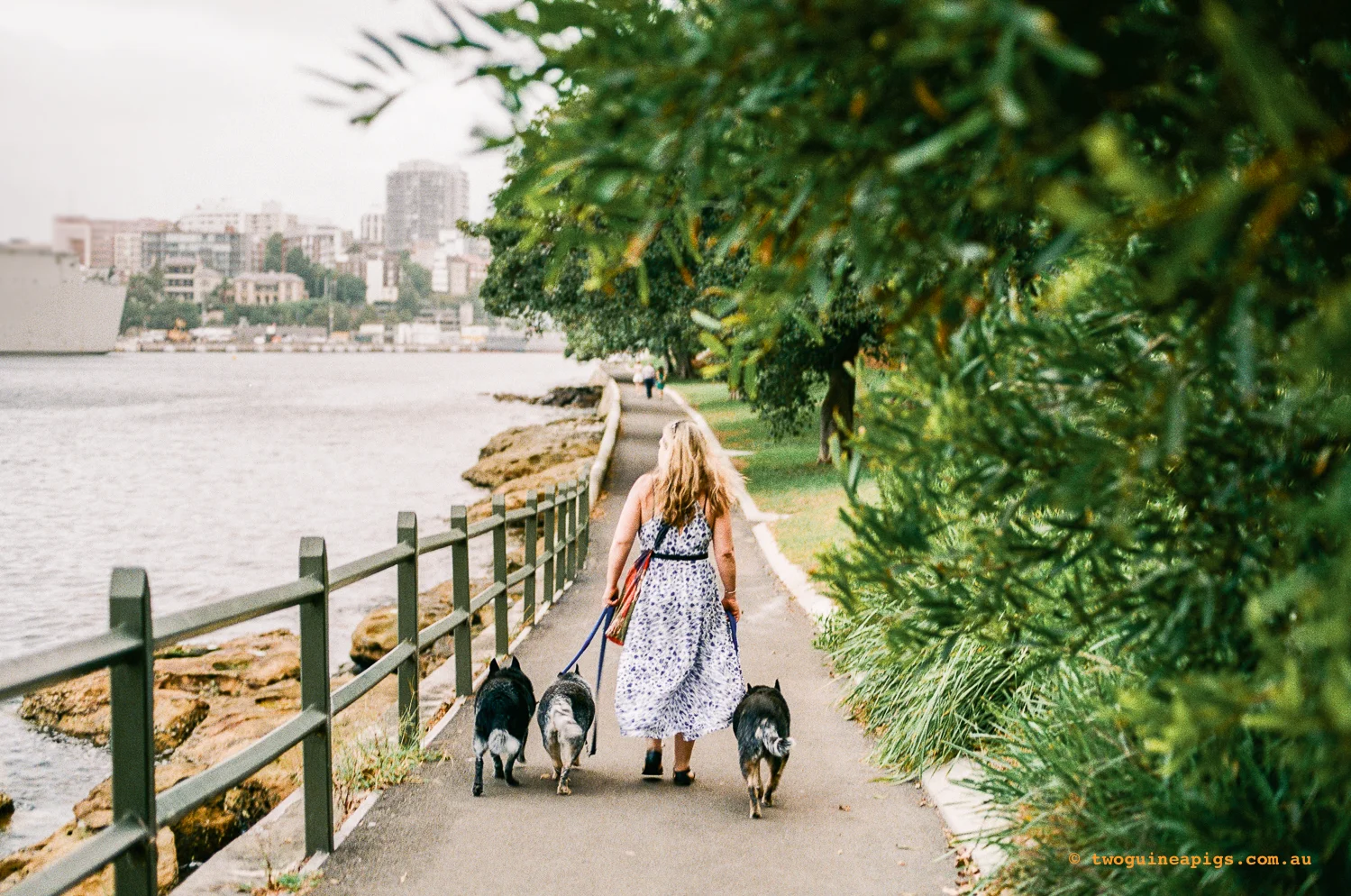 © twoguineapigs_jkblackwell_street_creatures_acd_mrs_macqueries_agfavistaplus200_1500-1.jpg