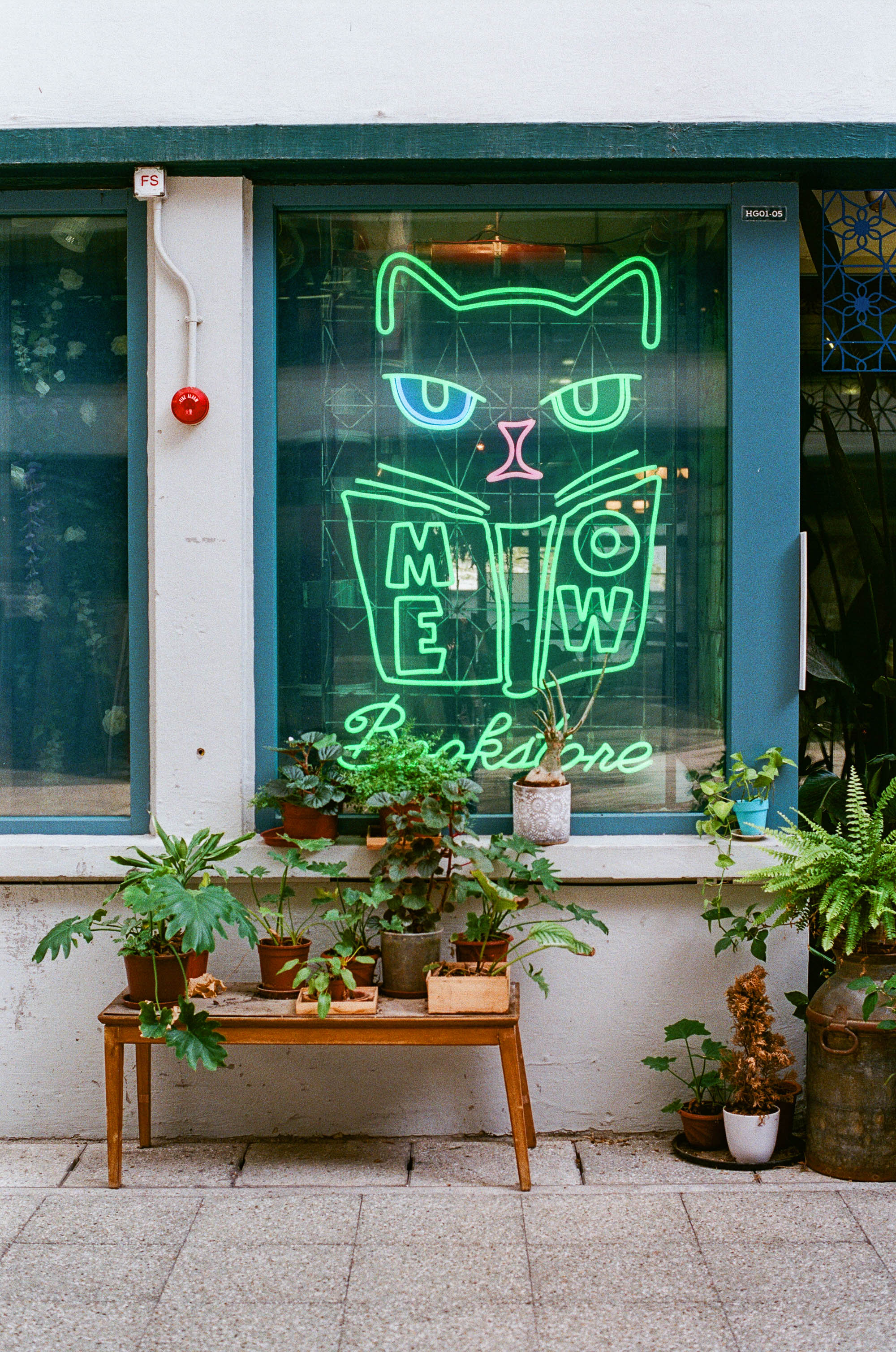 Meow Cafe Hong Kong Central © 2019 JK Blackwell twoguineapigs