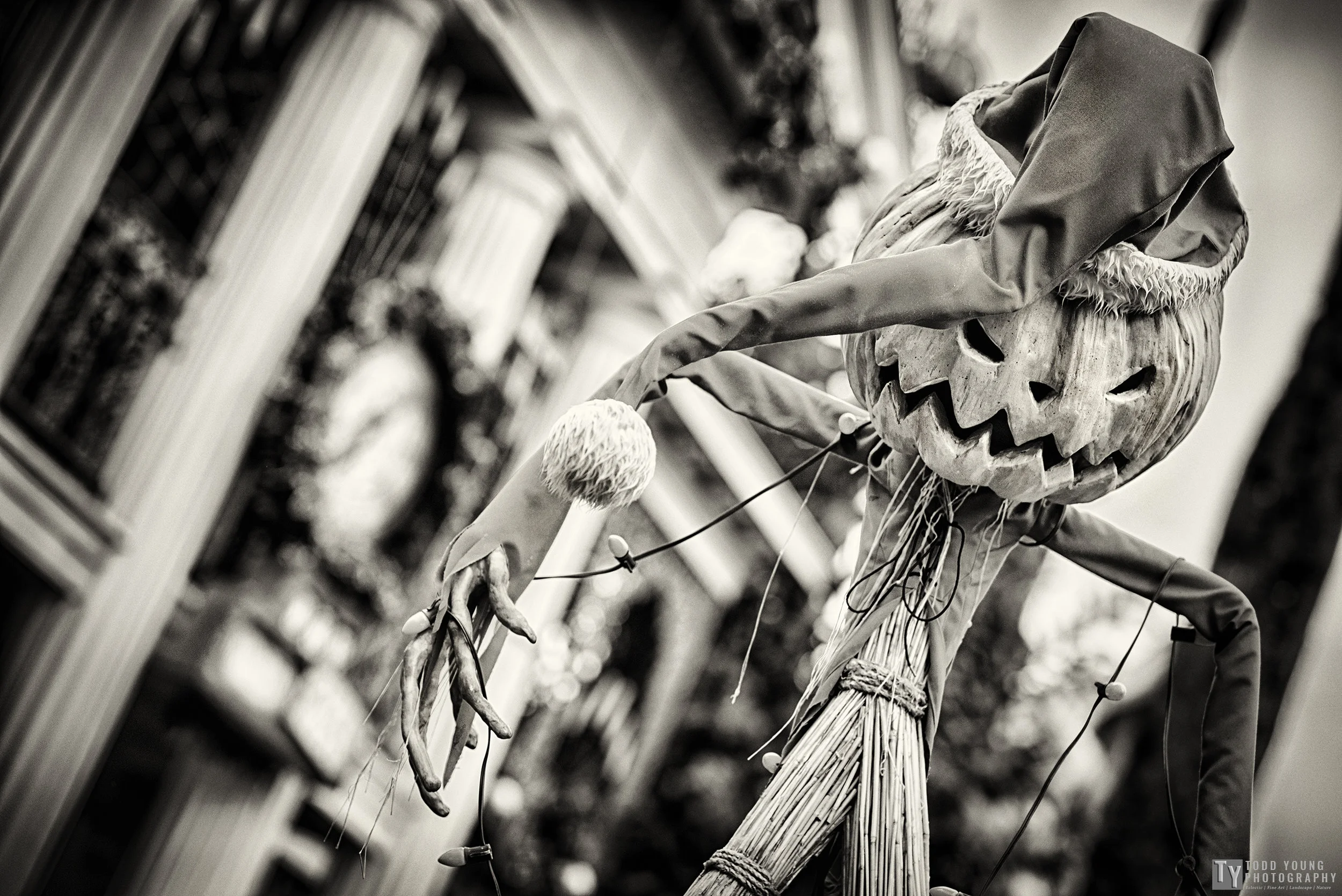 hauntedpumpkin.jpg