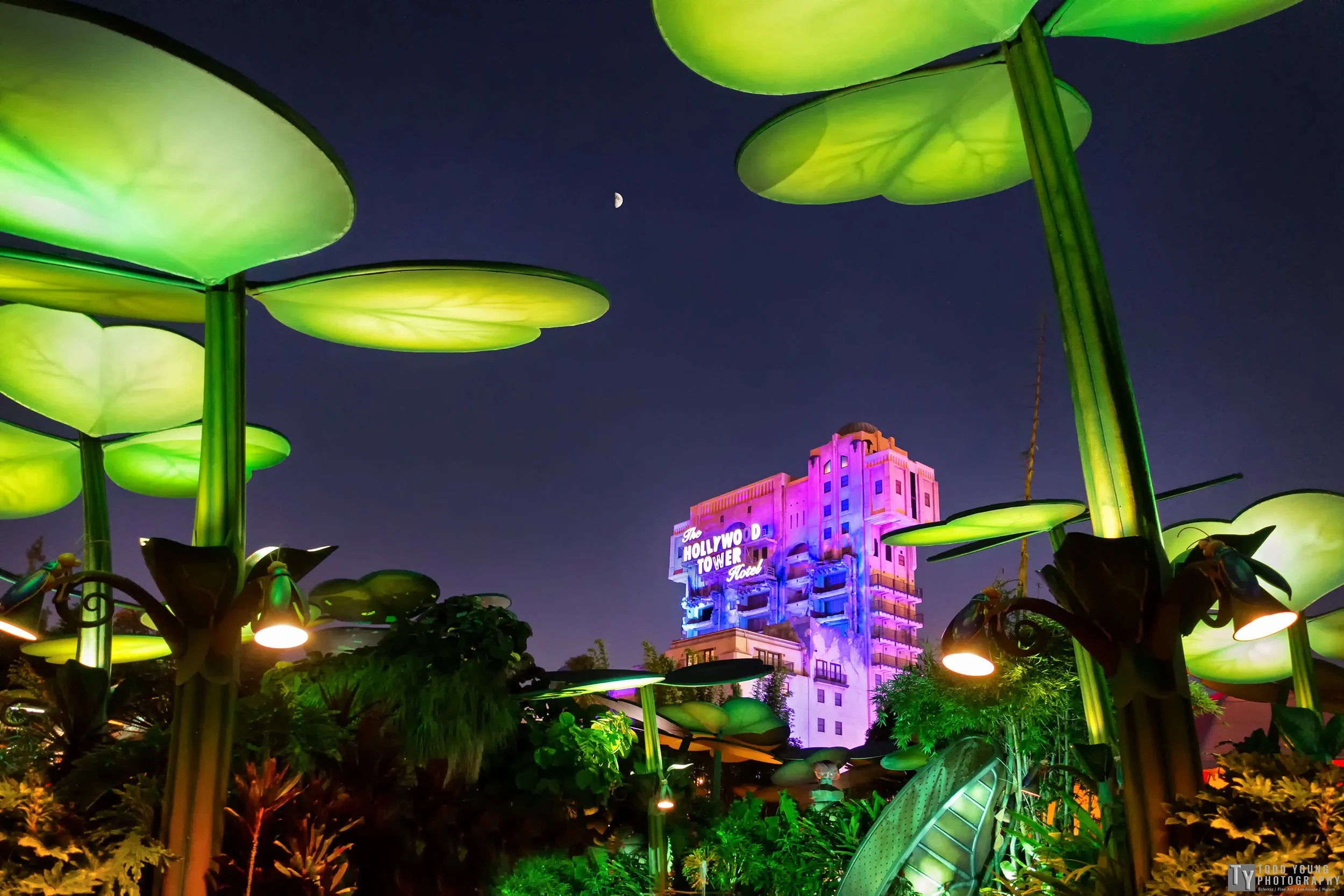 hollywoodtowernight.jpg