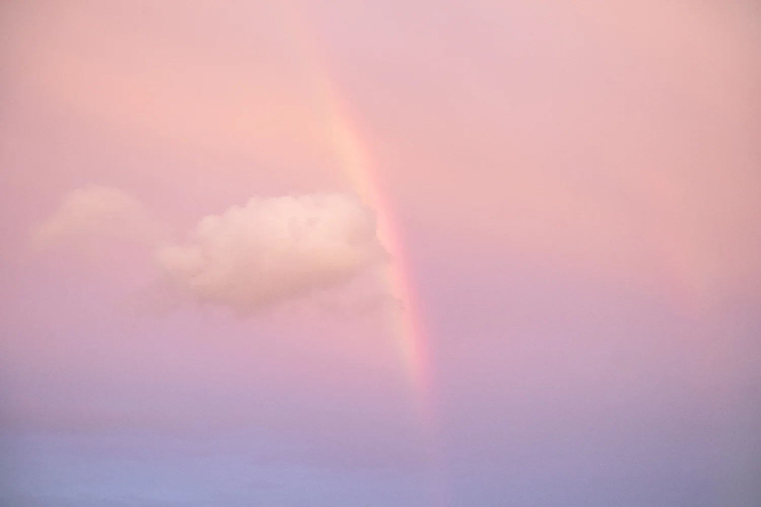 _61A0163.jpg