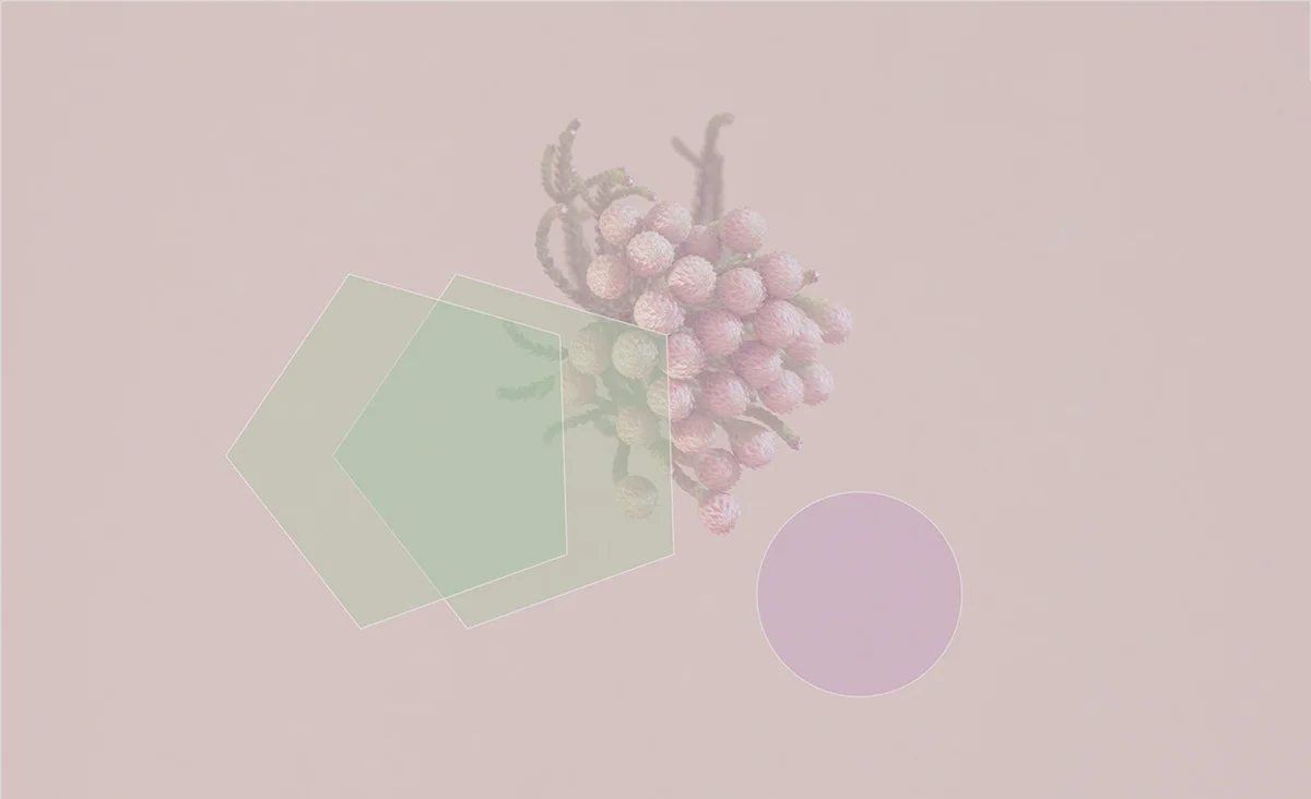 Floral_0254.jpg