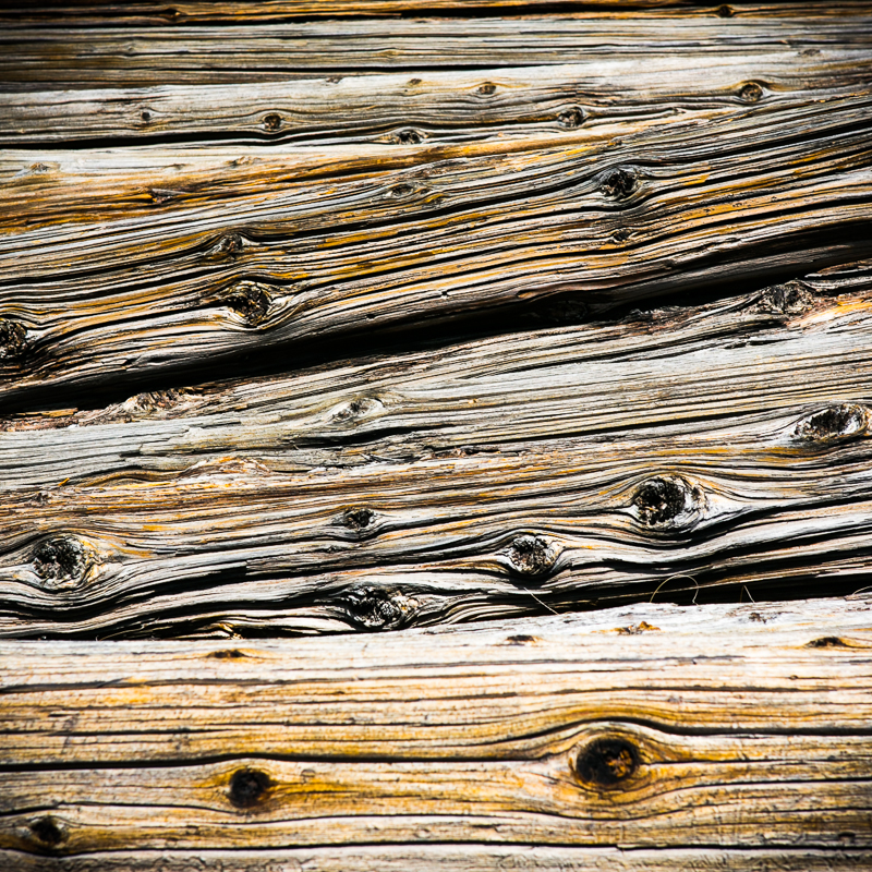Logs - Death Valley
