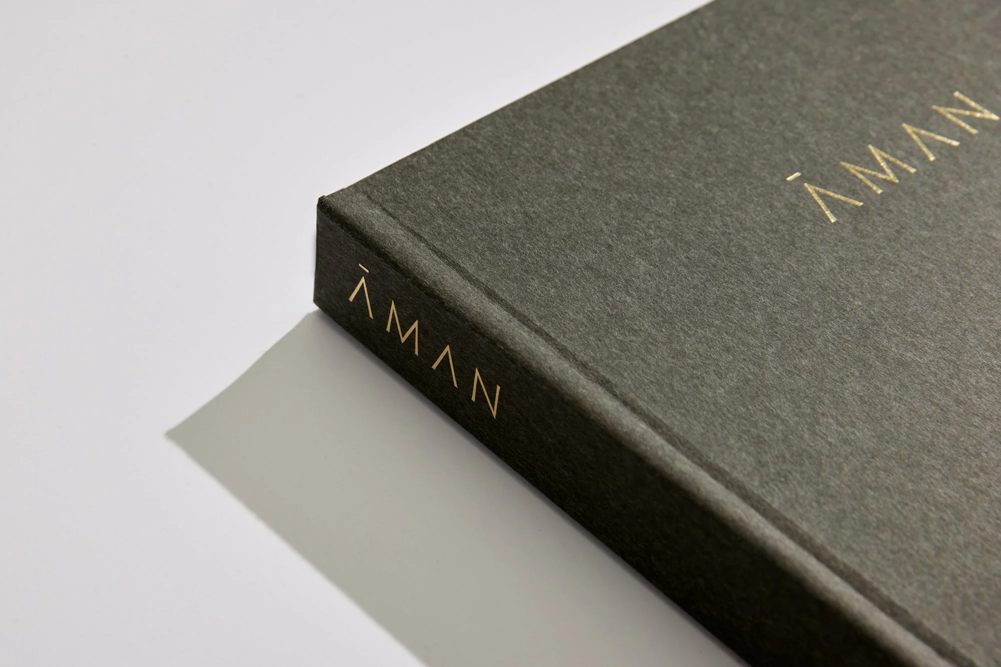 AMAN_PORTFOLIO_COVERCLOSEUP3_JENNHART.jpg