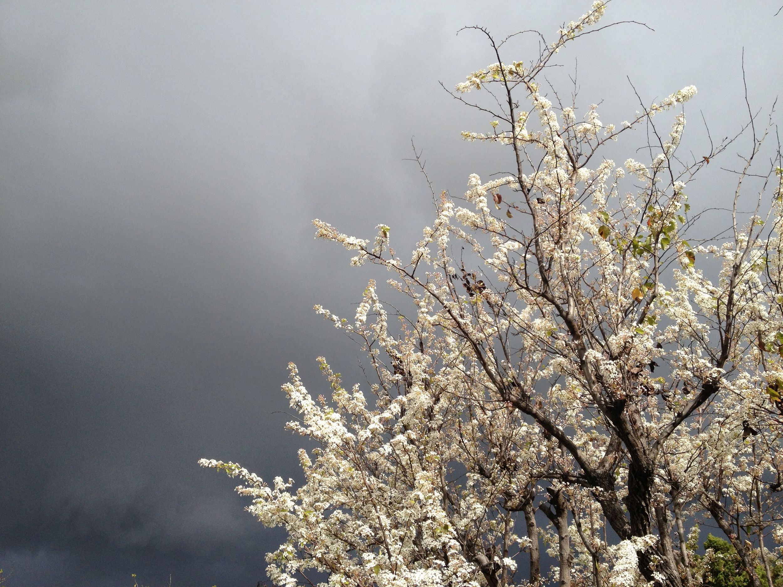 CA storm sky