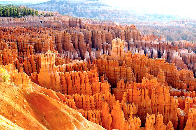 bryce-canyon-and-zion-national-parks-small-group-tour-from-las-vegas-in-las-vegas-112202.jpg