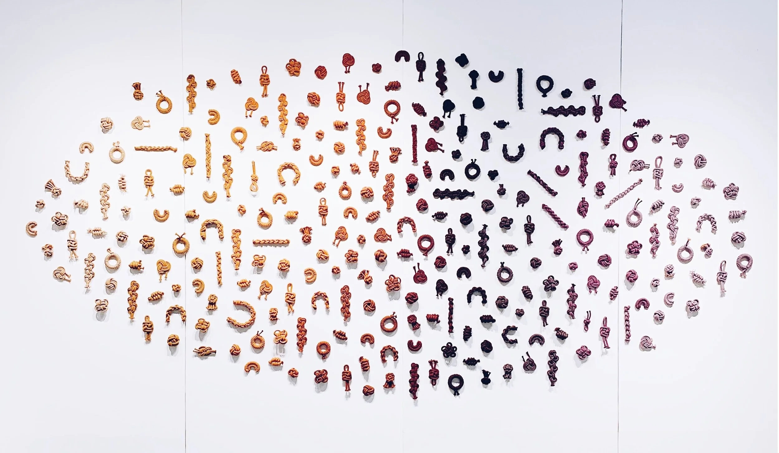 Knot Installation by Windy Chien, 2018