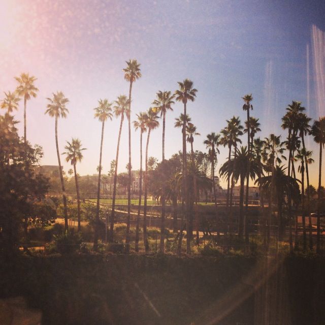  Nice to see palm trees when you wake up. 