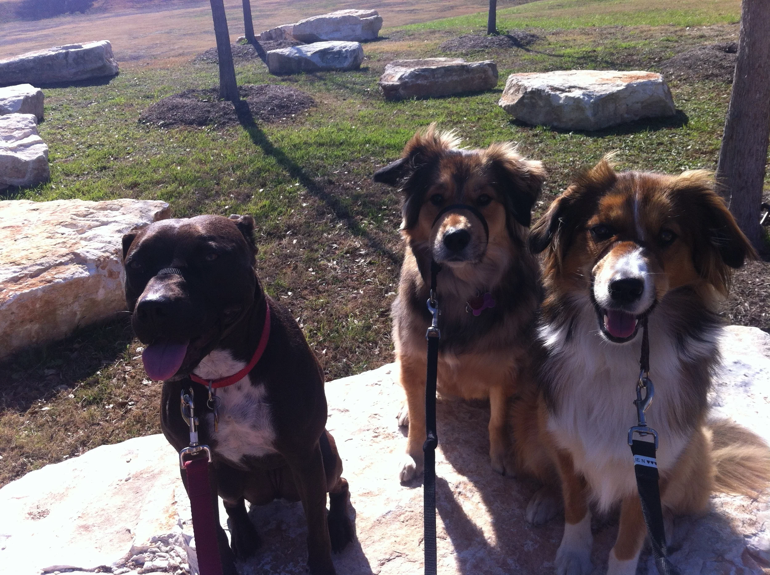 Leena, Aries & Ellie