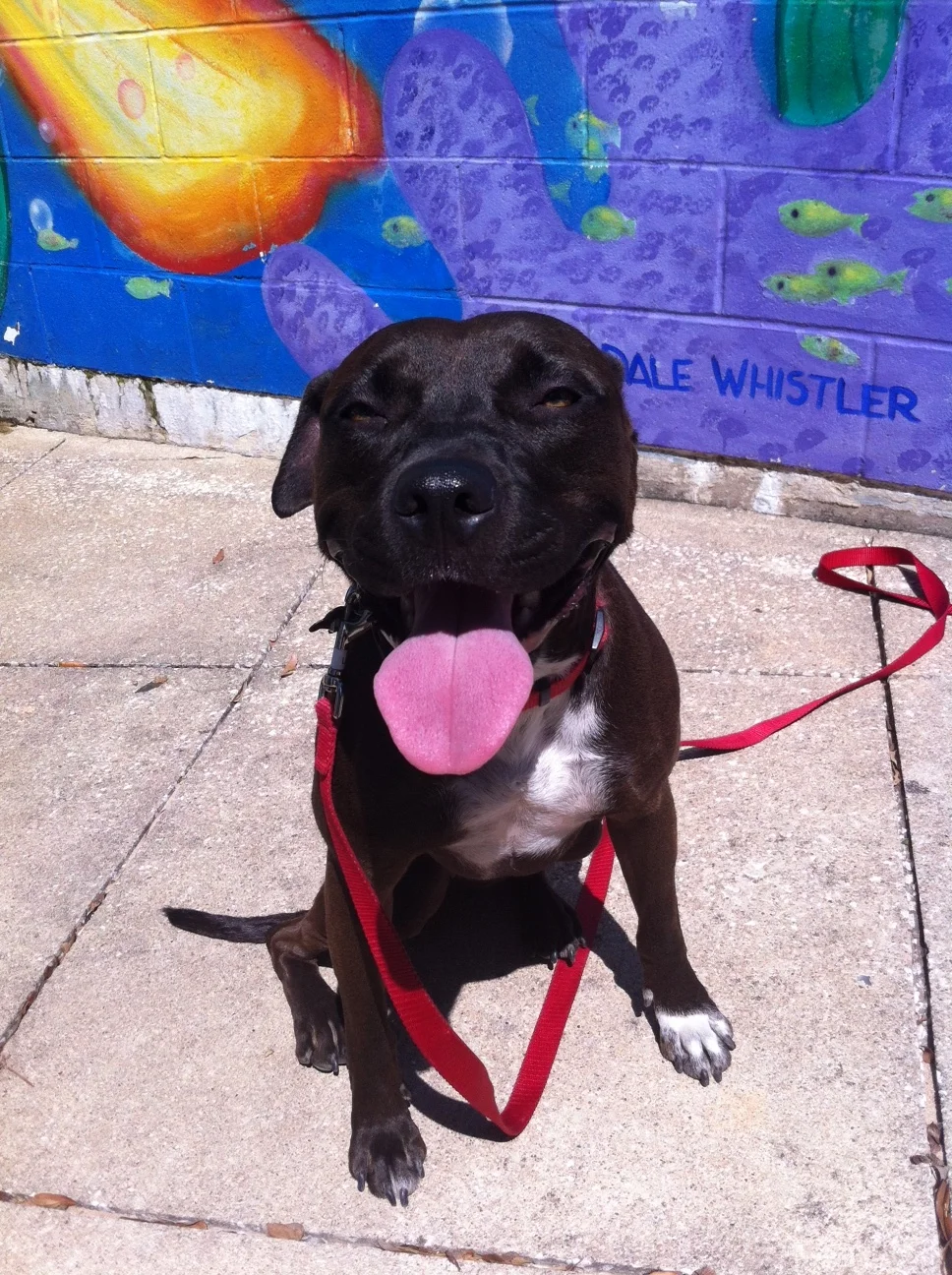 Leena out on a field trip!