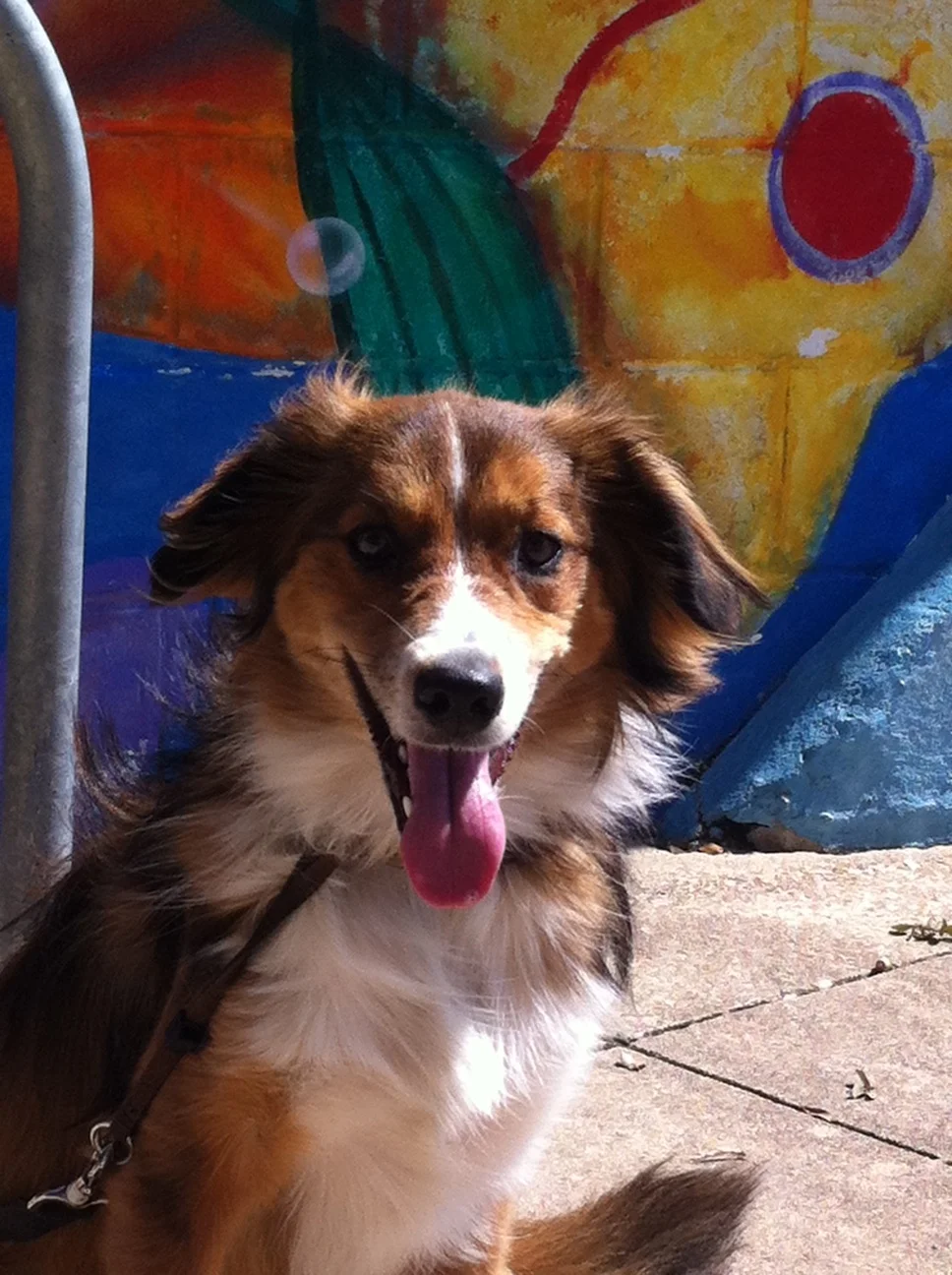 Ellie out on the town on a field trip