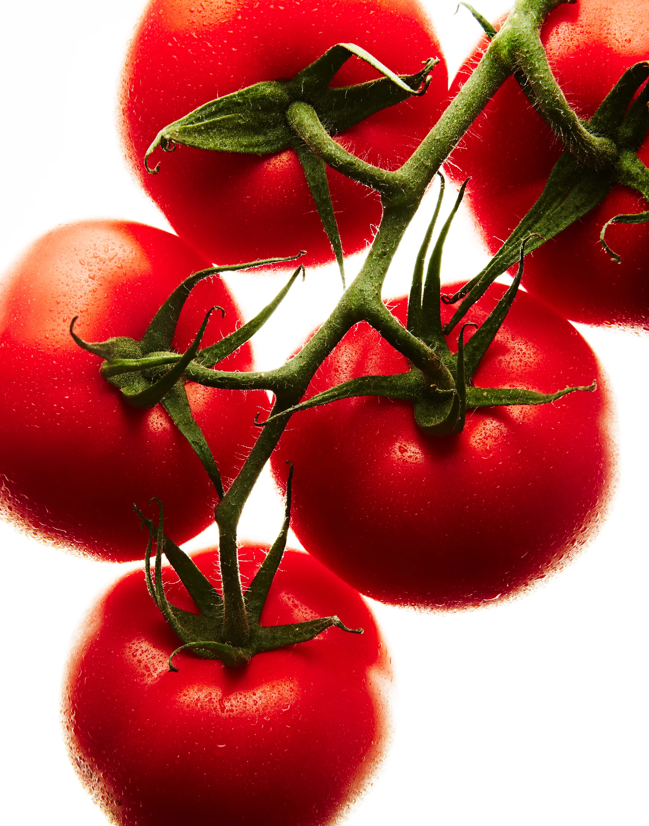 140709 Produce Tomato 0132.jpg