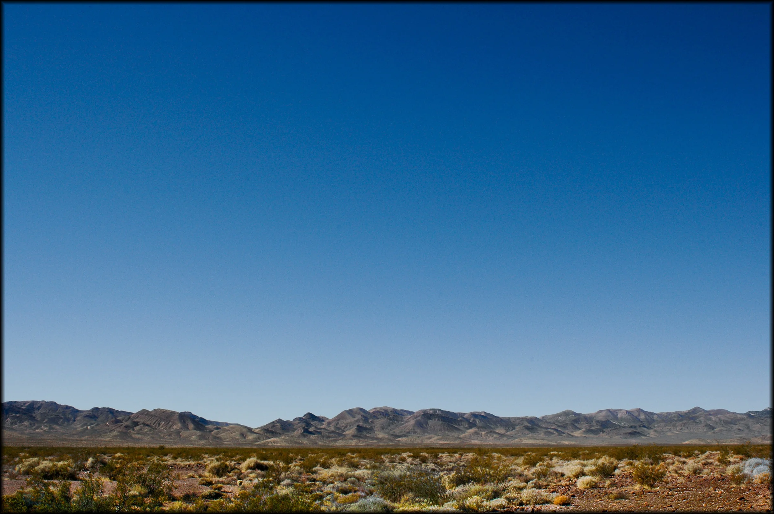 DSC_0269-428.jpg