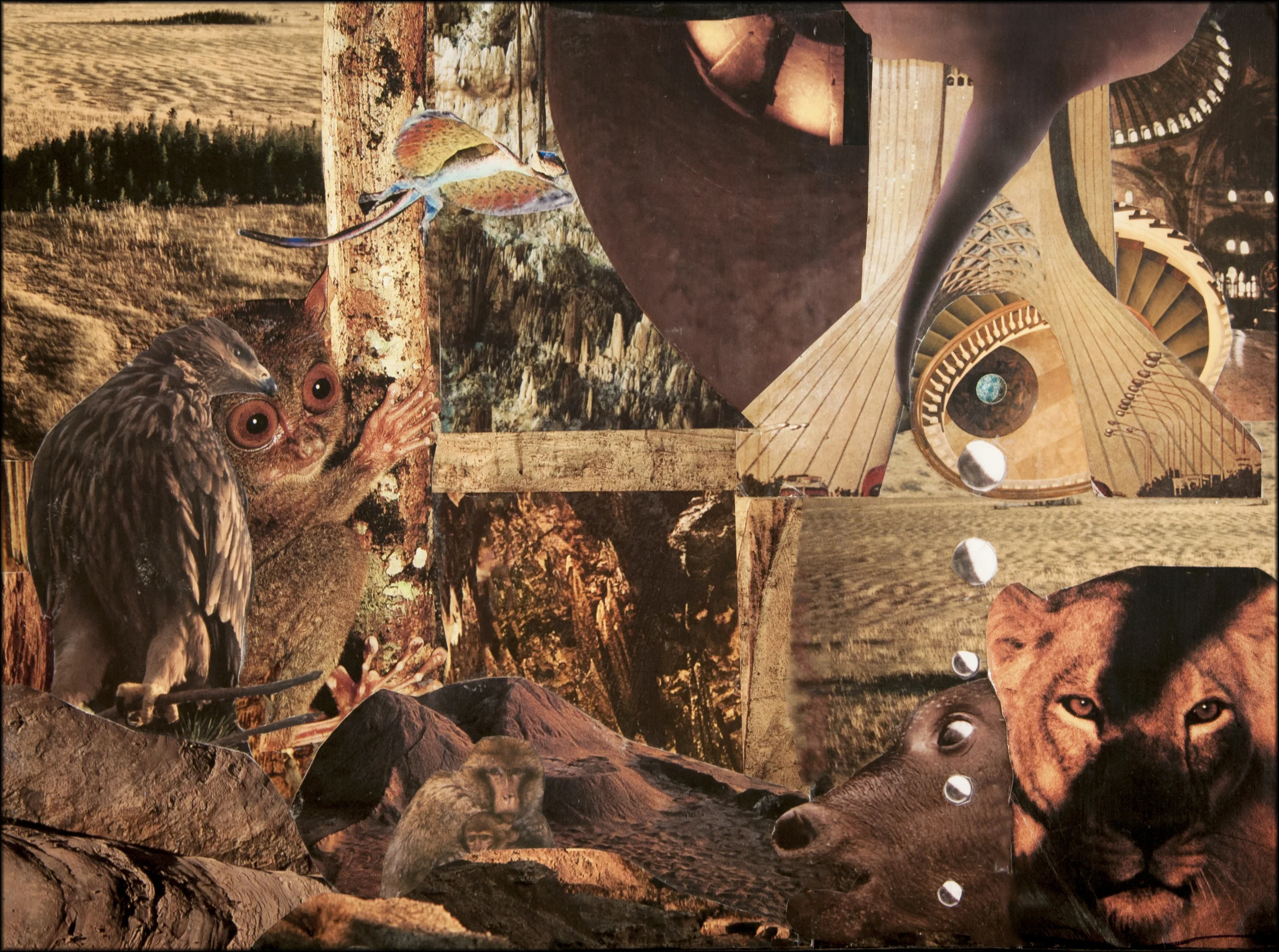 WDS Collage11.jpg