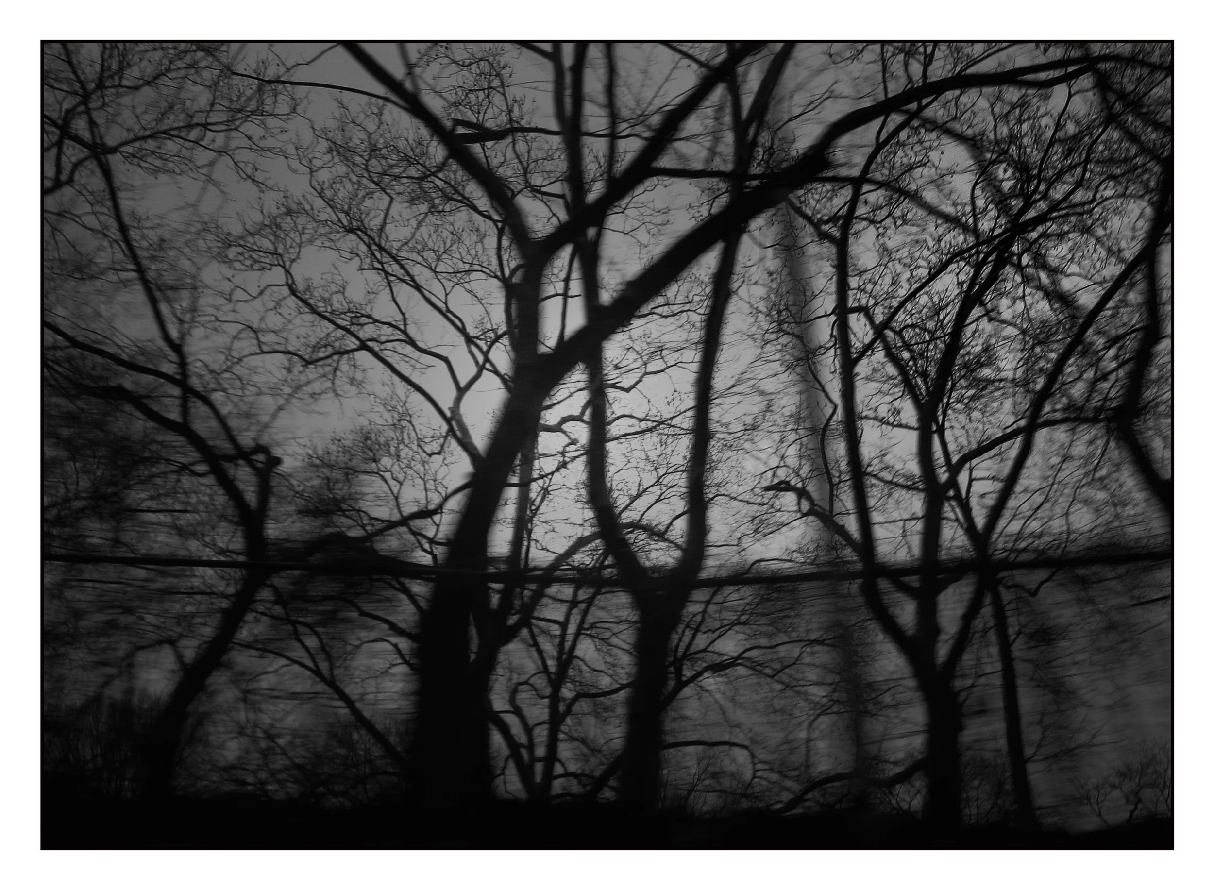 Dark Nature 03A.jpg