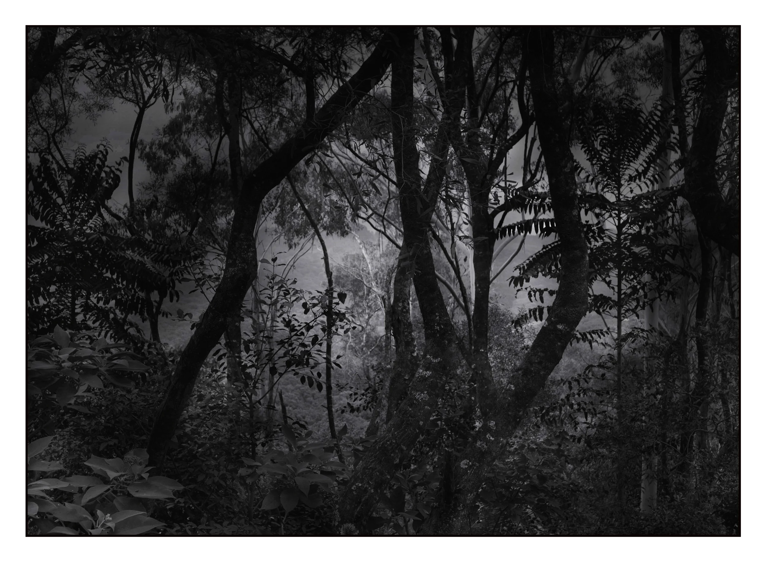 Dark Nature 05A.jpg