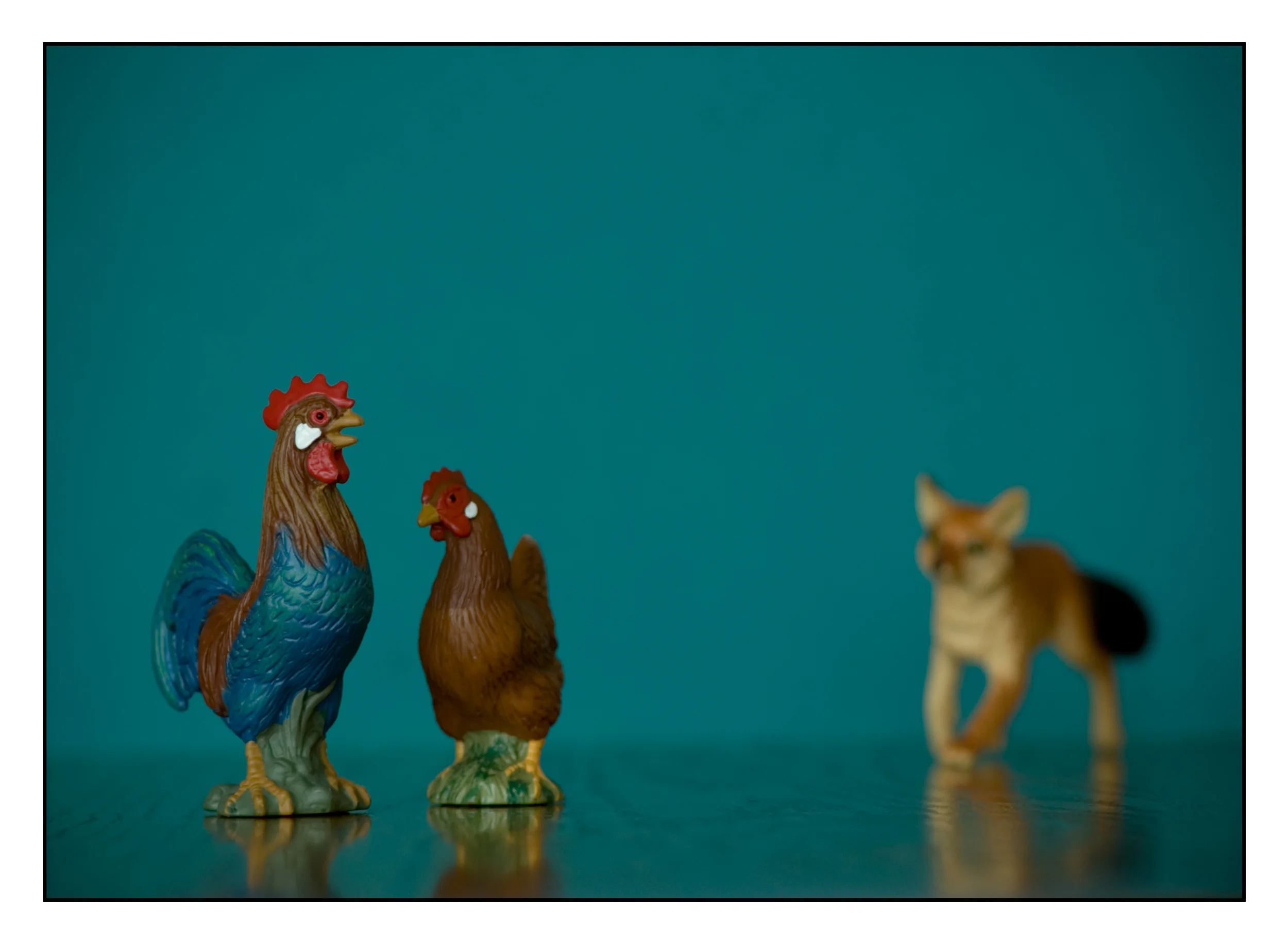 Chickens BD.jpg