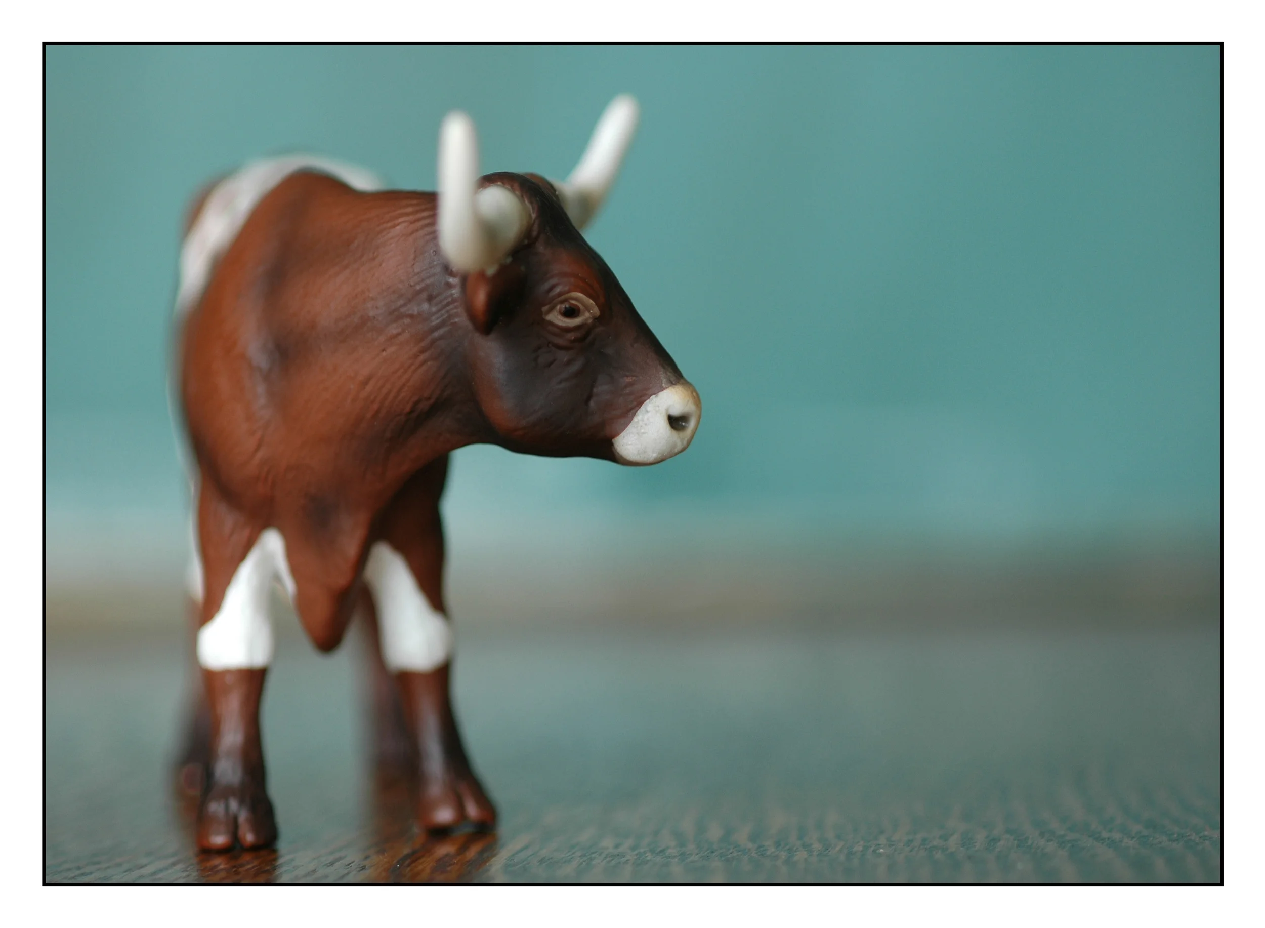 Cow 01 BD.jpg