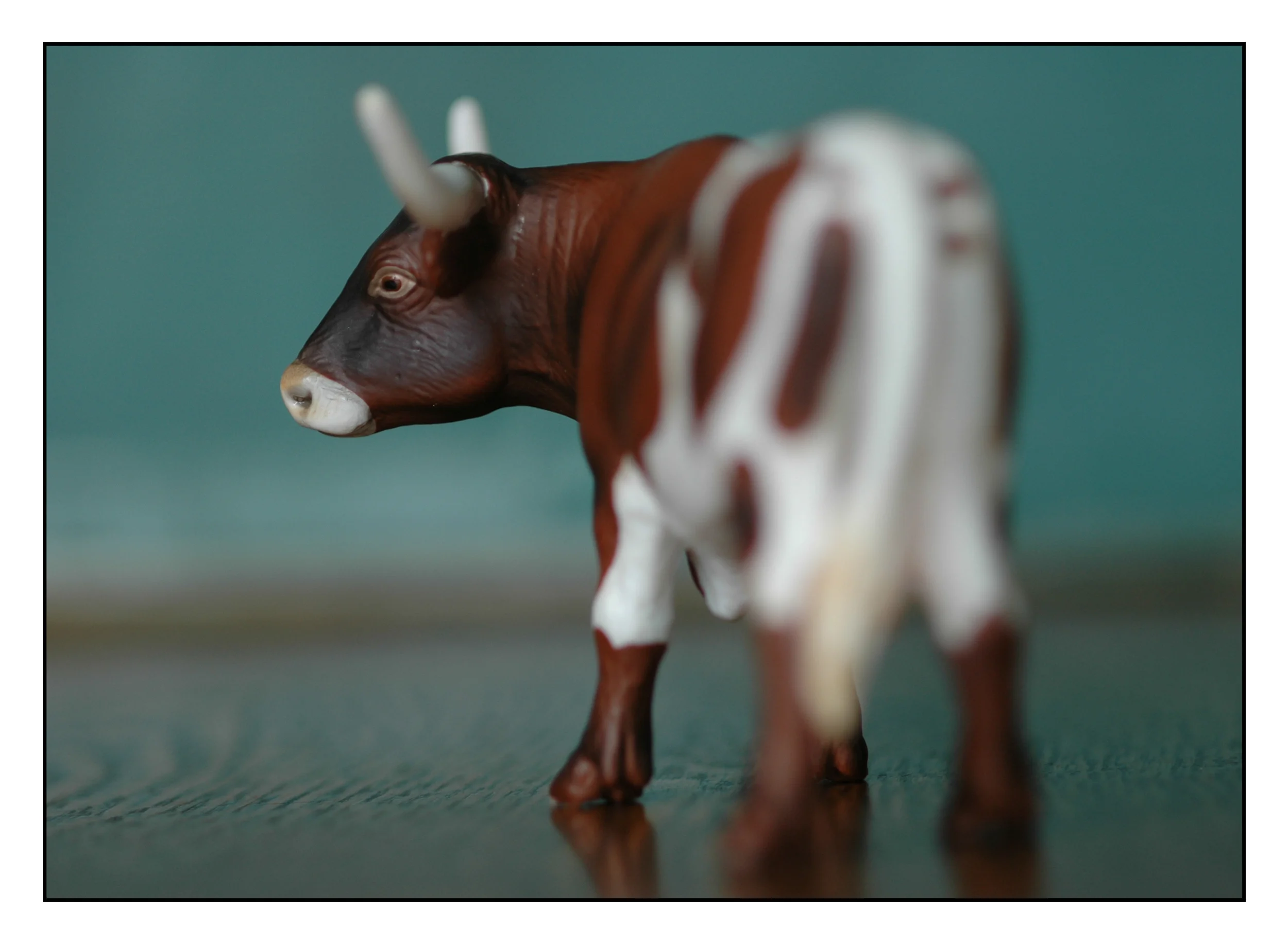 Cow