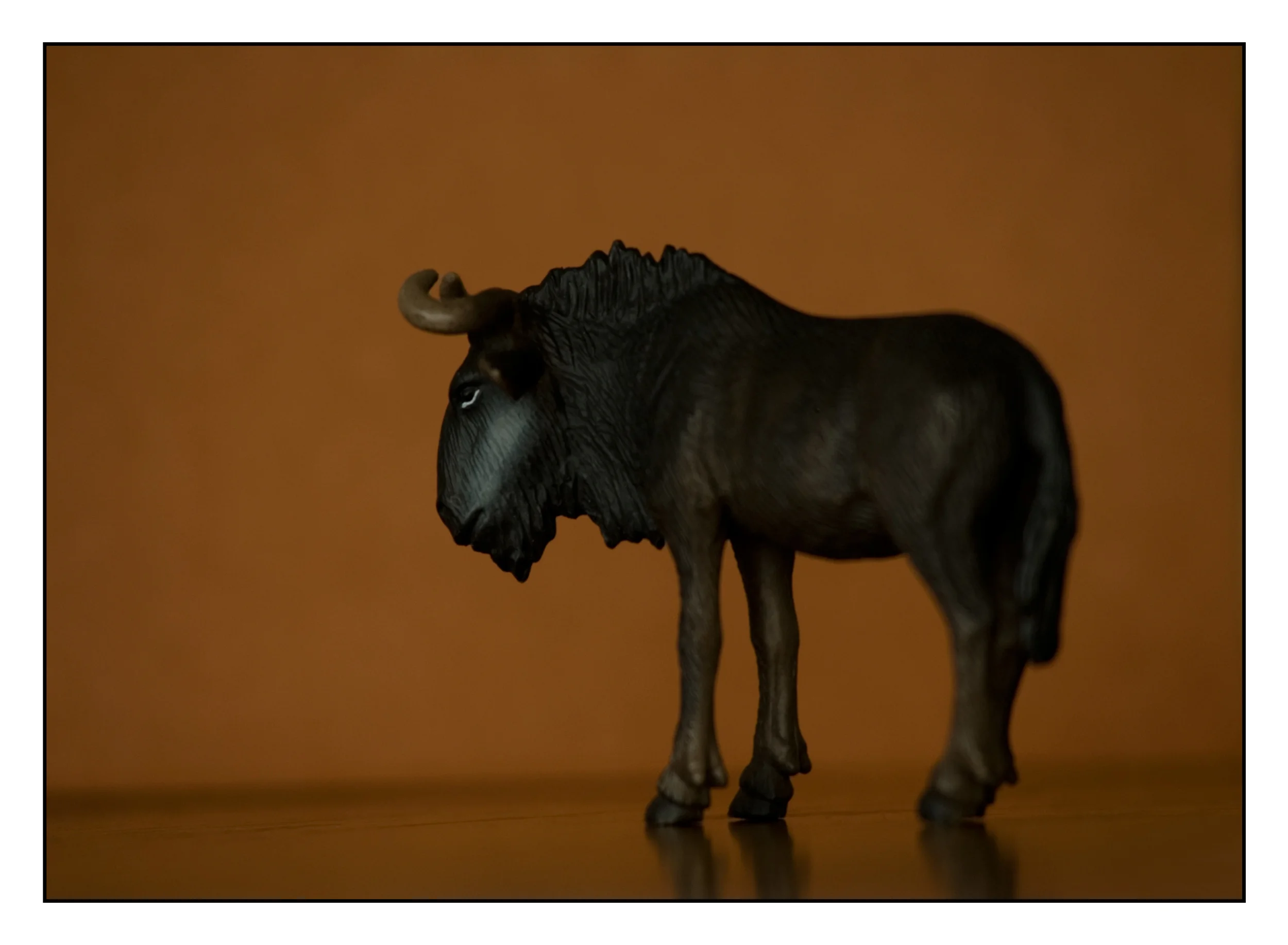 Wildebeest BD.jpg