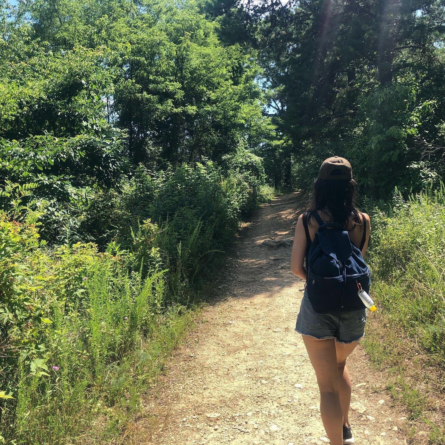 Day trip / Mental stretch 🧡🐛🌿🍄☀️