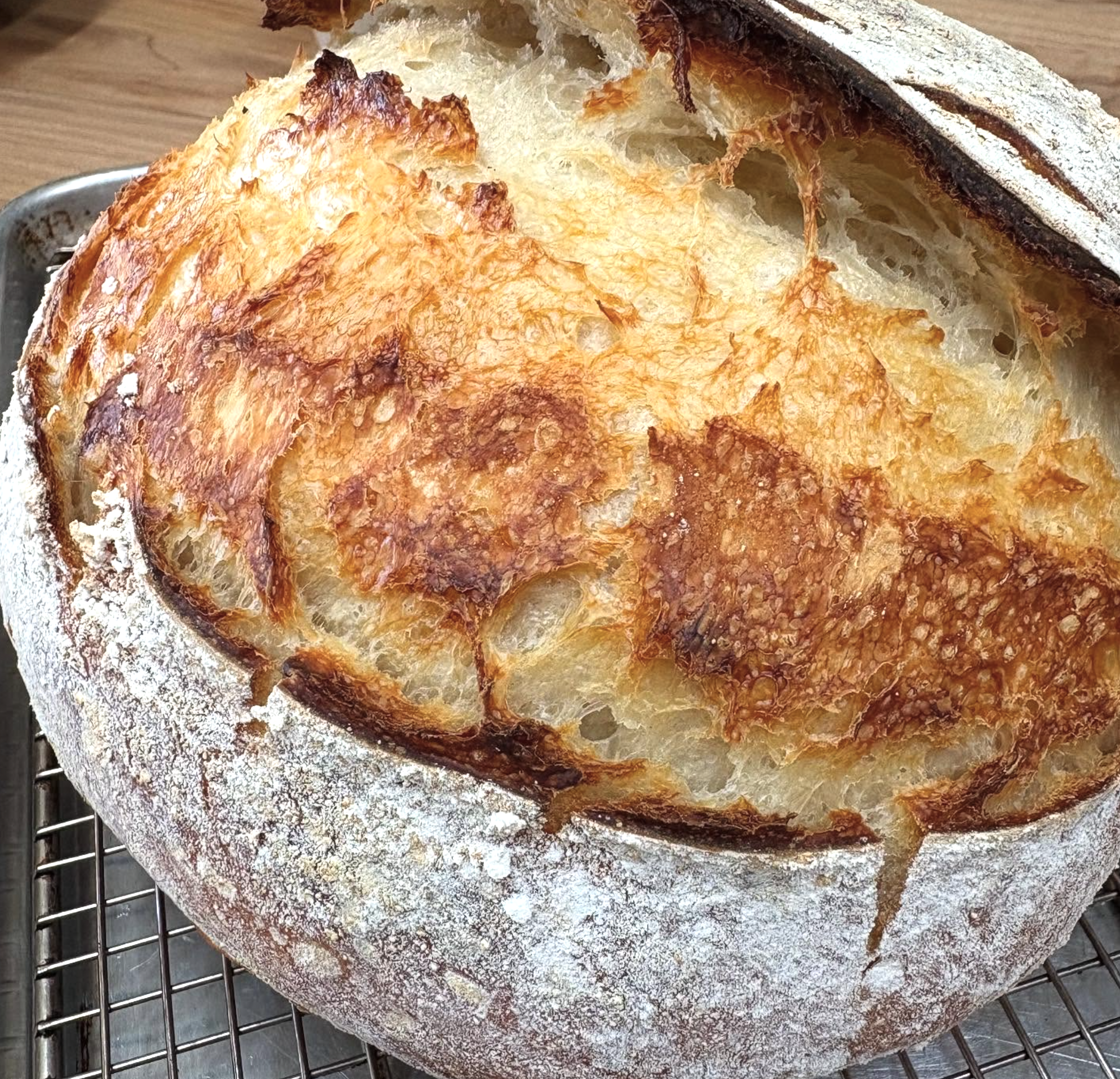 Breads &amp; Rolls →