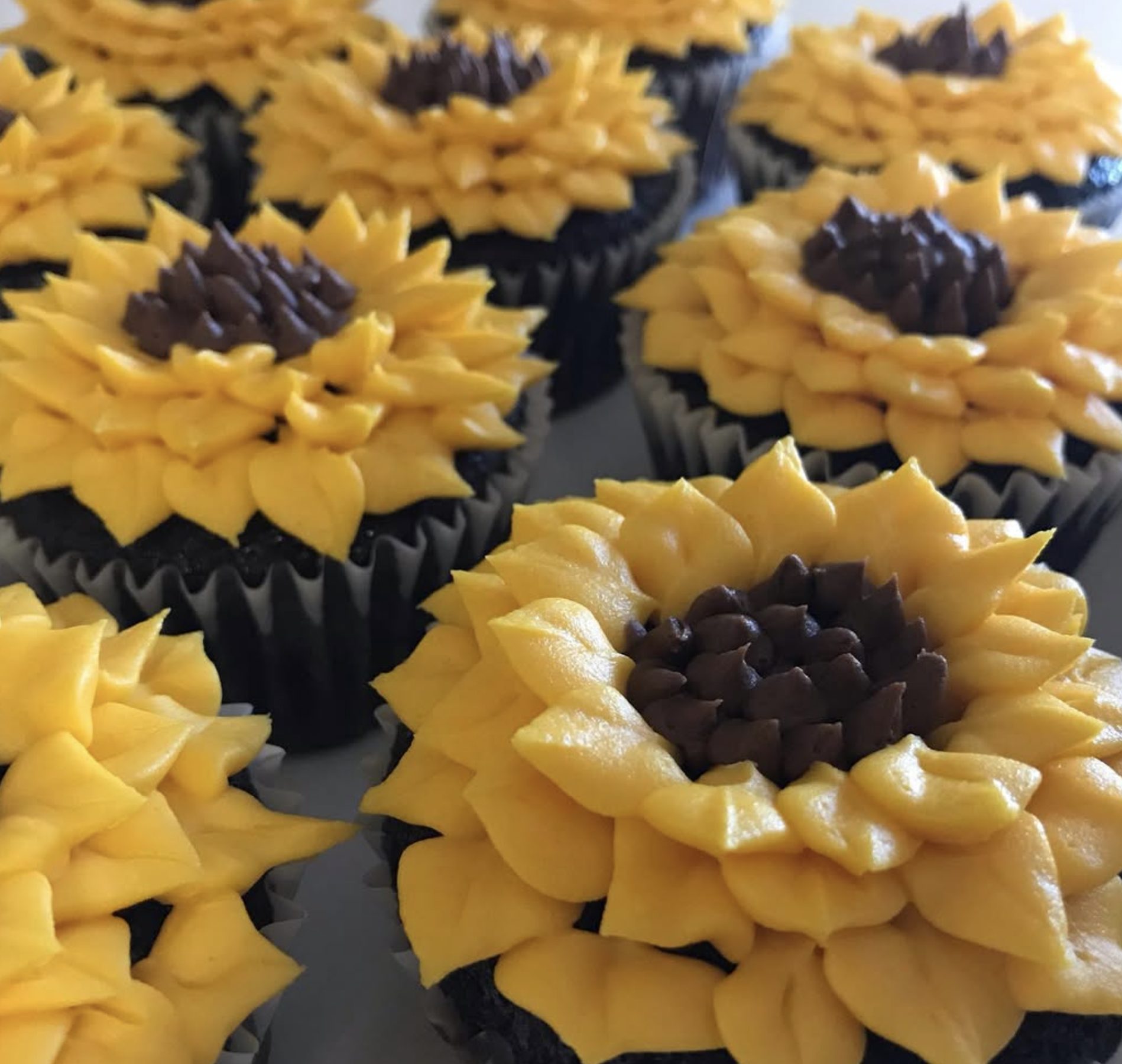CUPCAKES →