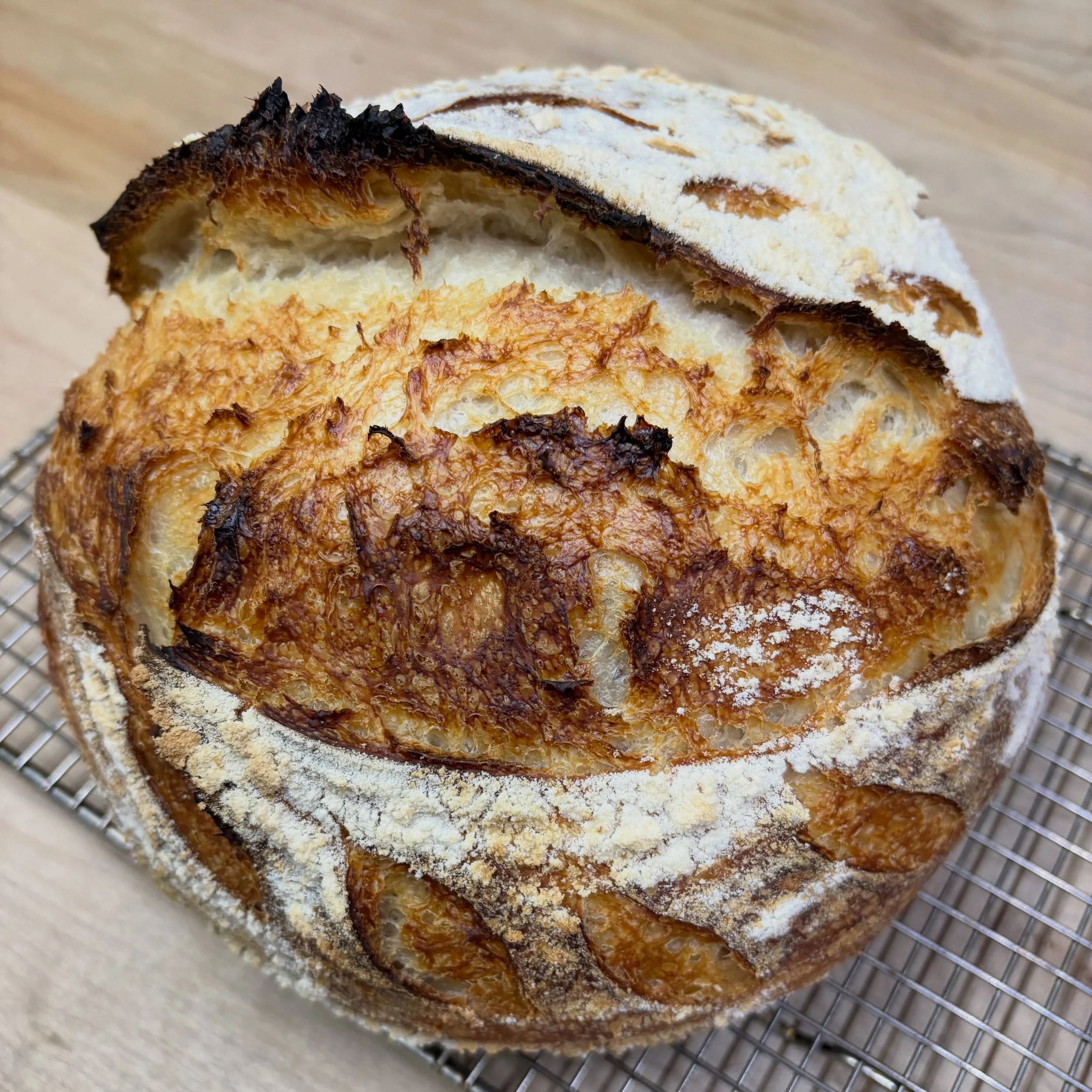 Isn&rsquo;t she lovely? 🥰 A sourdough a day makes all the bad go away. 😁 

#ivybakery #sourdough #bread #bakery #lasvegasbakery