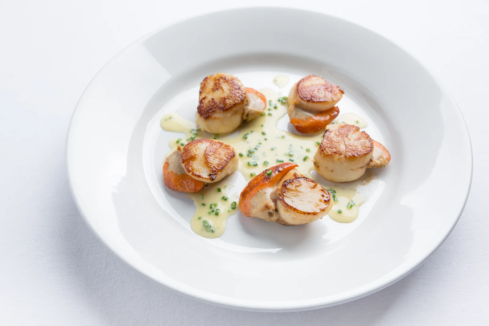 Neil Forbes Cafe St Honore Scallops Chive Sauce 1 WEB SIZE (Credit- Paul Johnston - Copper Mango) CMPL1922.jpg