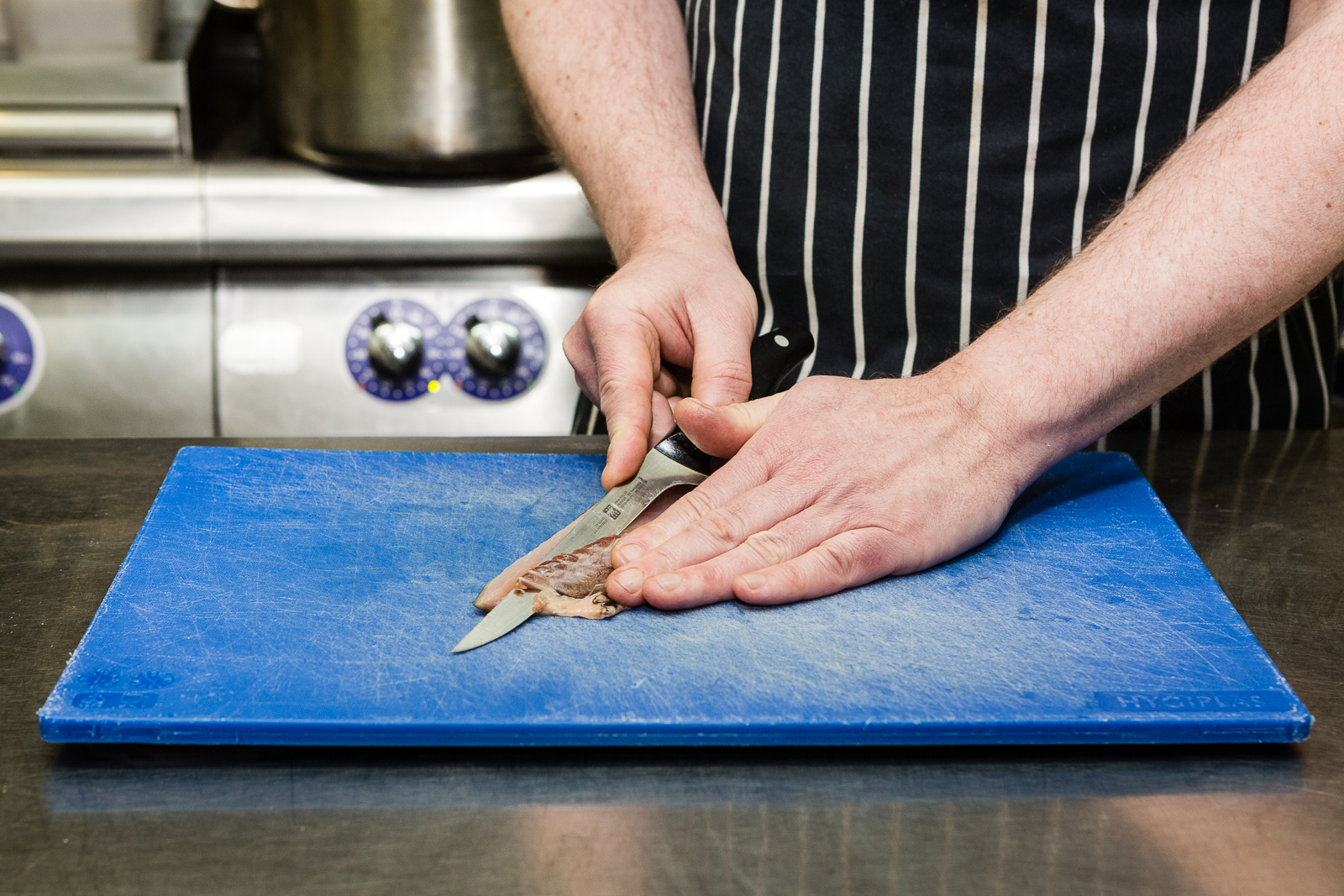 Mackerel filleting 4.jpg