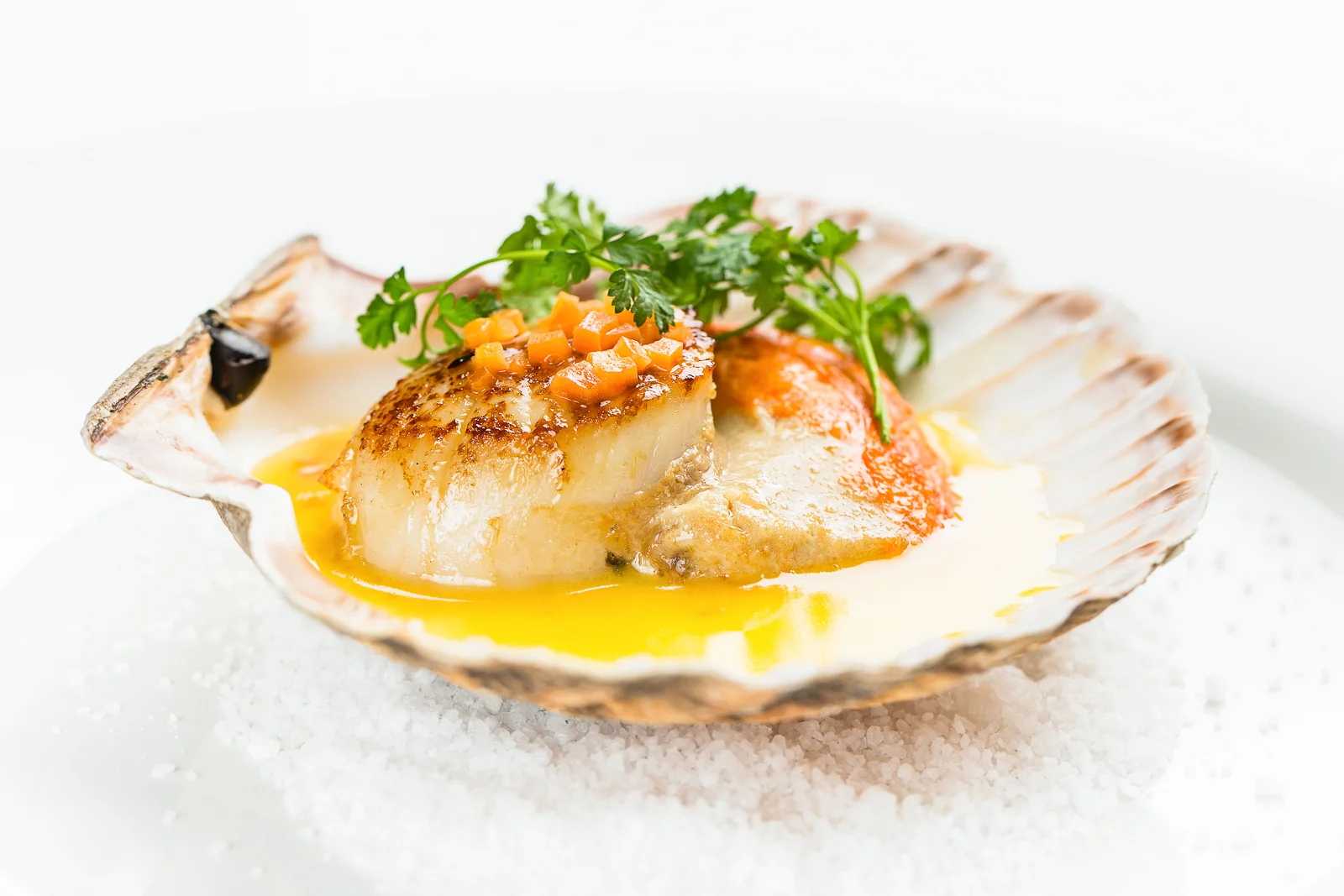 Neil Forbes Cafe St Honoré Hand-dived Scallop with Carrot Butter Sauce WEB SIZE (Credit - Paul Johnston)-CMPL0639-Edit-2.jpg