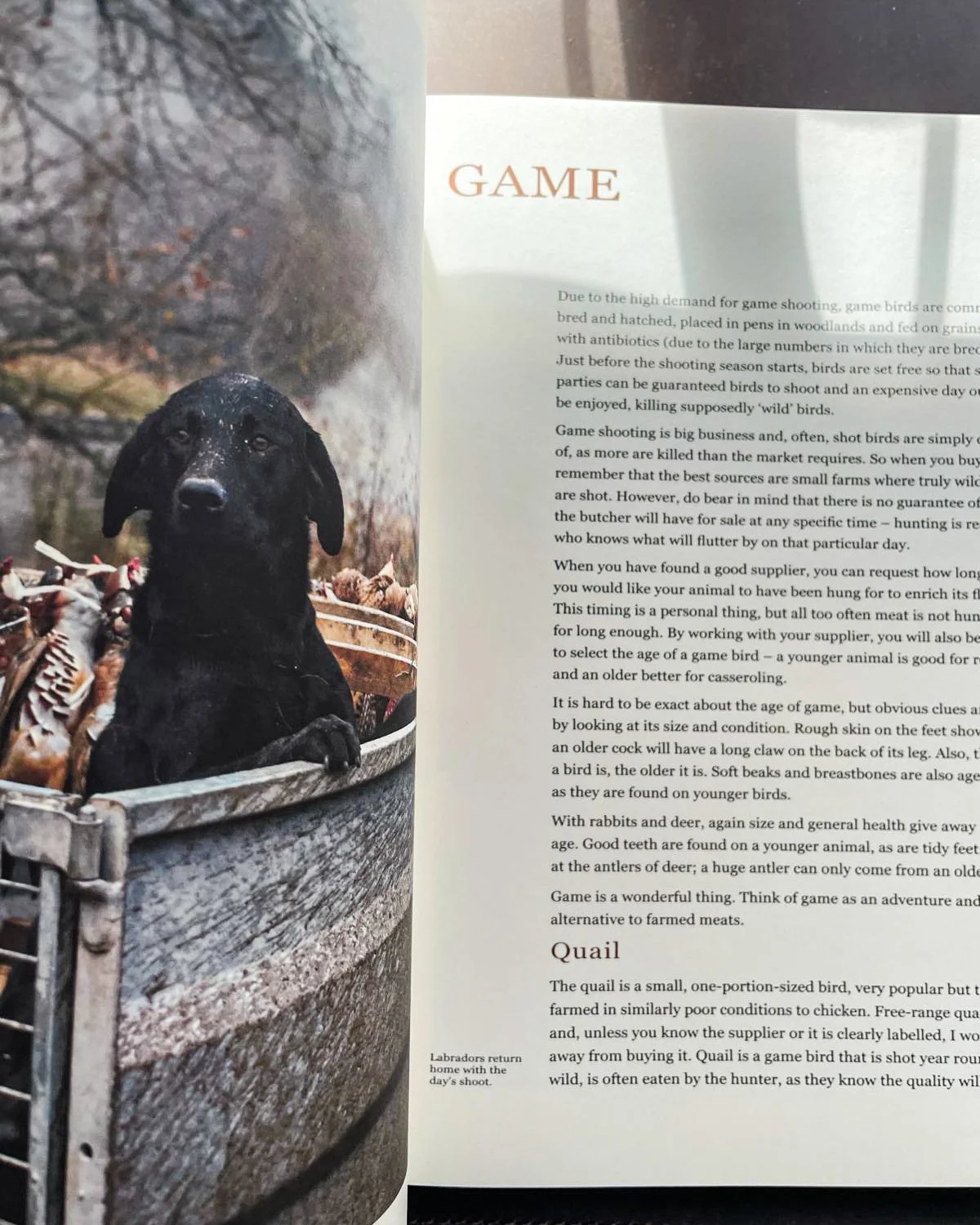 The Ginger Pig 3.JPG