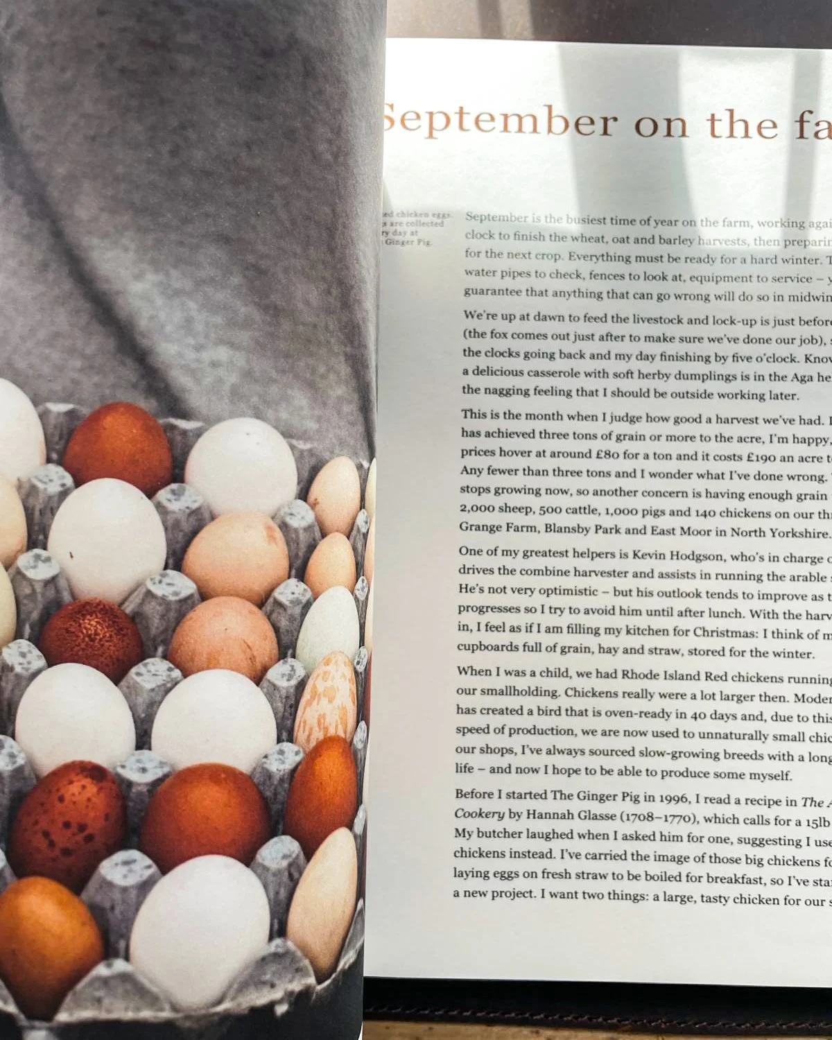 The Ginger Pig 6.JPG