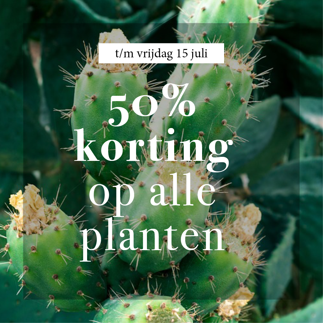WAT_50procentkorting.png