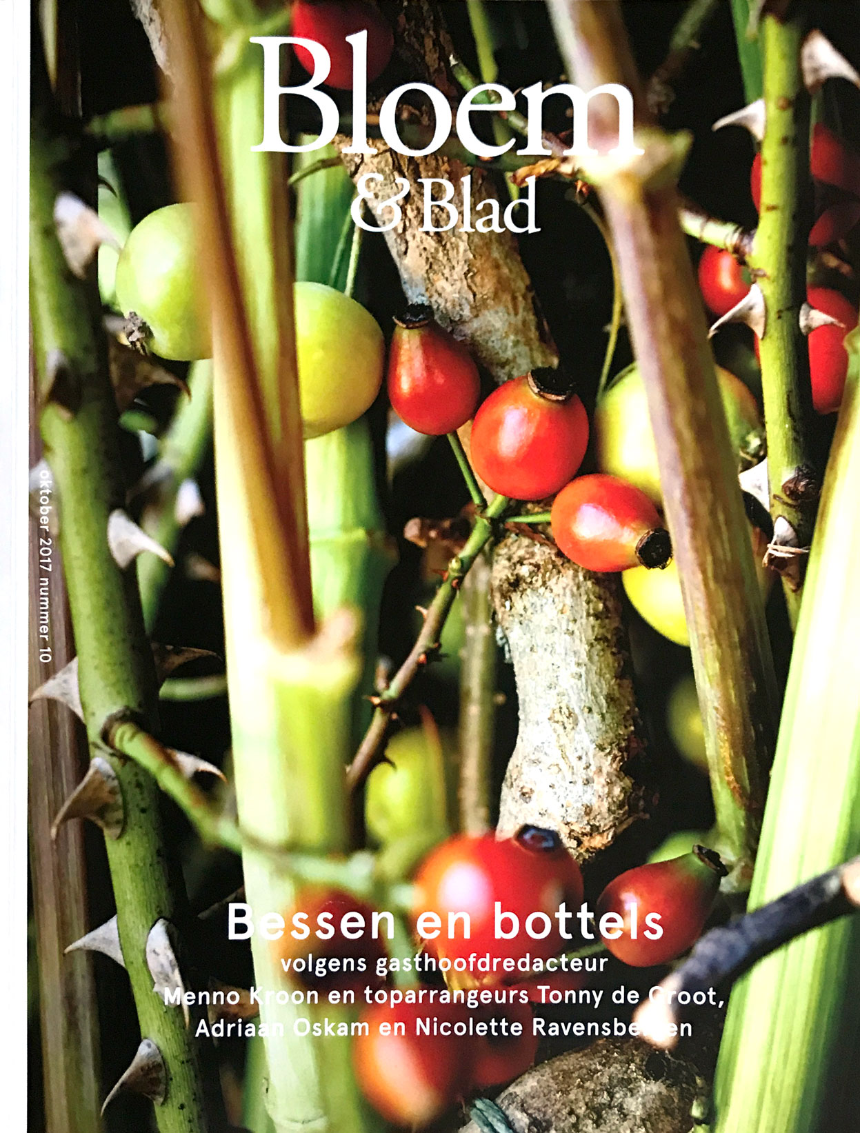 omslag_bloem_en_blad.jpg