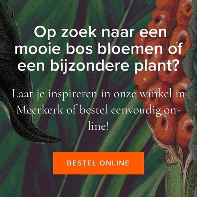 Vanaf nu kunt u eenvoudig via Ideal een bestelling plaatsen. Dit kan op onze nieuwe website: www.indewatermolen.nl