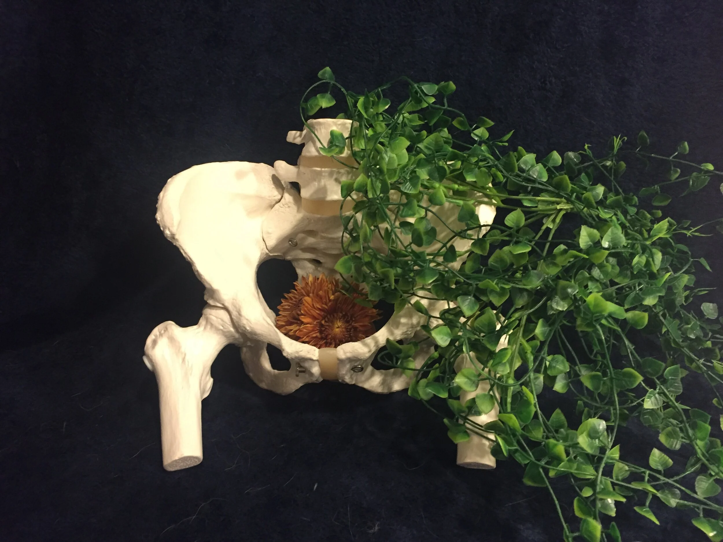 Building Pelvic Health with Jodi (virtual)