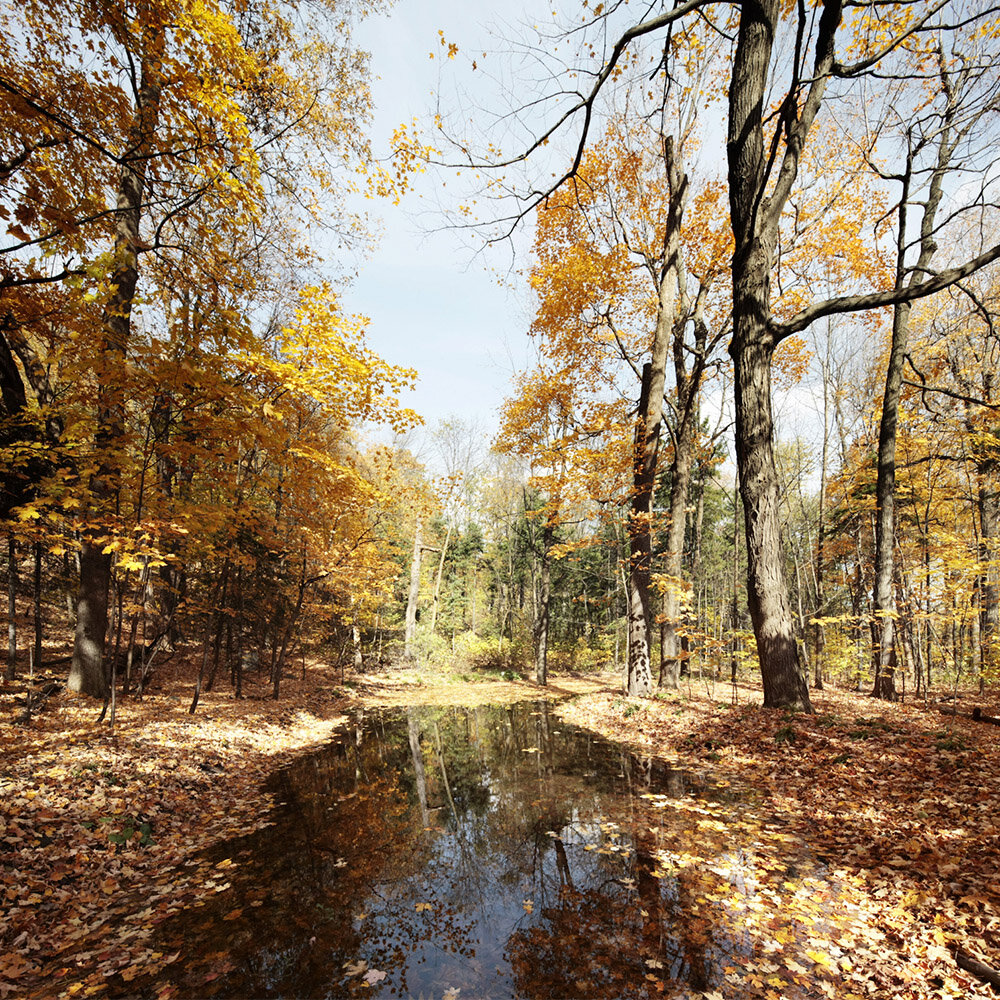 ©marccramer_0106397-98 copy.JPG