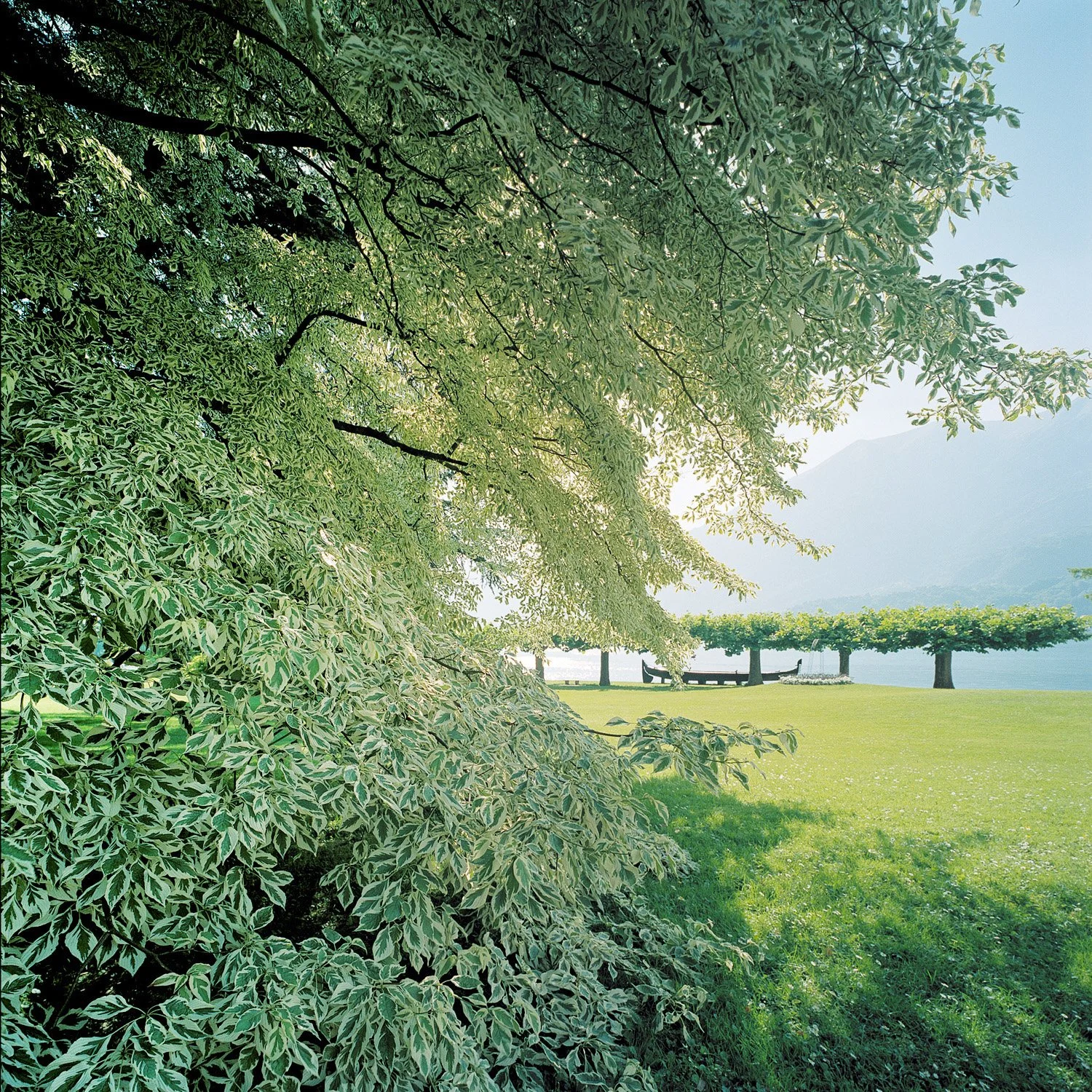 marccramer_INDEX_Villa Melzi.JPG