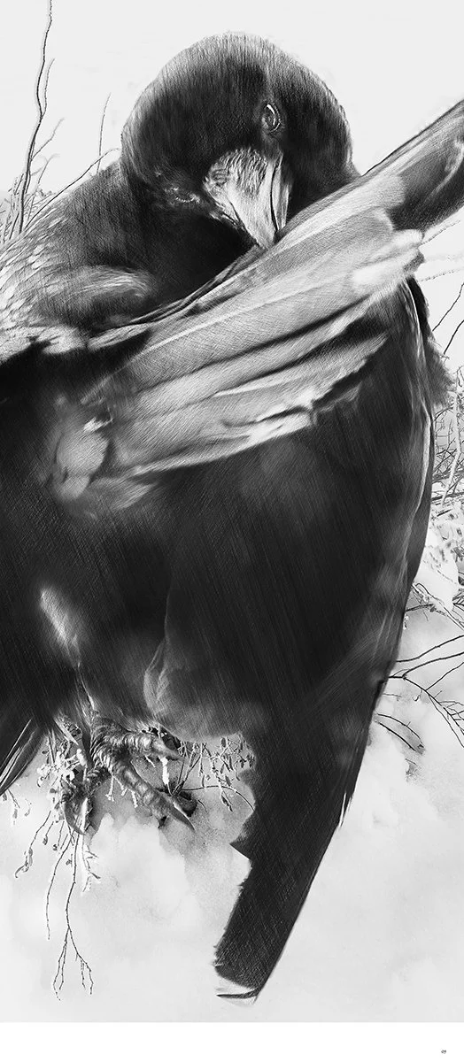 marccramer-CORNEILLE-1200x524px-Web.jpg