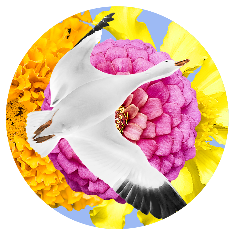 marc cramer-OIES-FLEURS-8x8.png