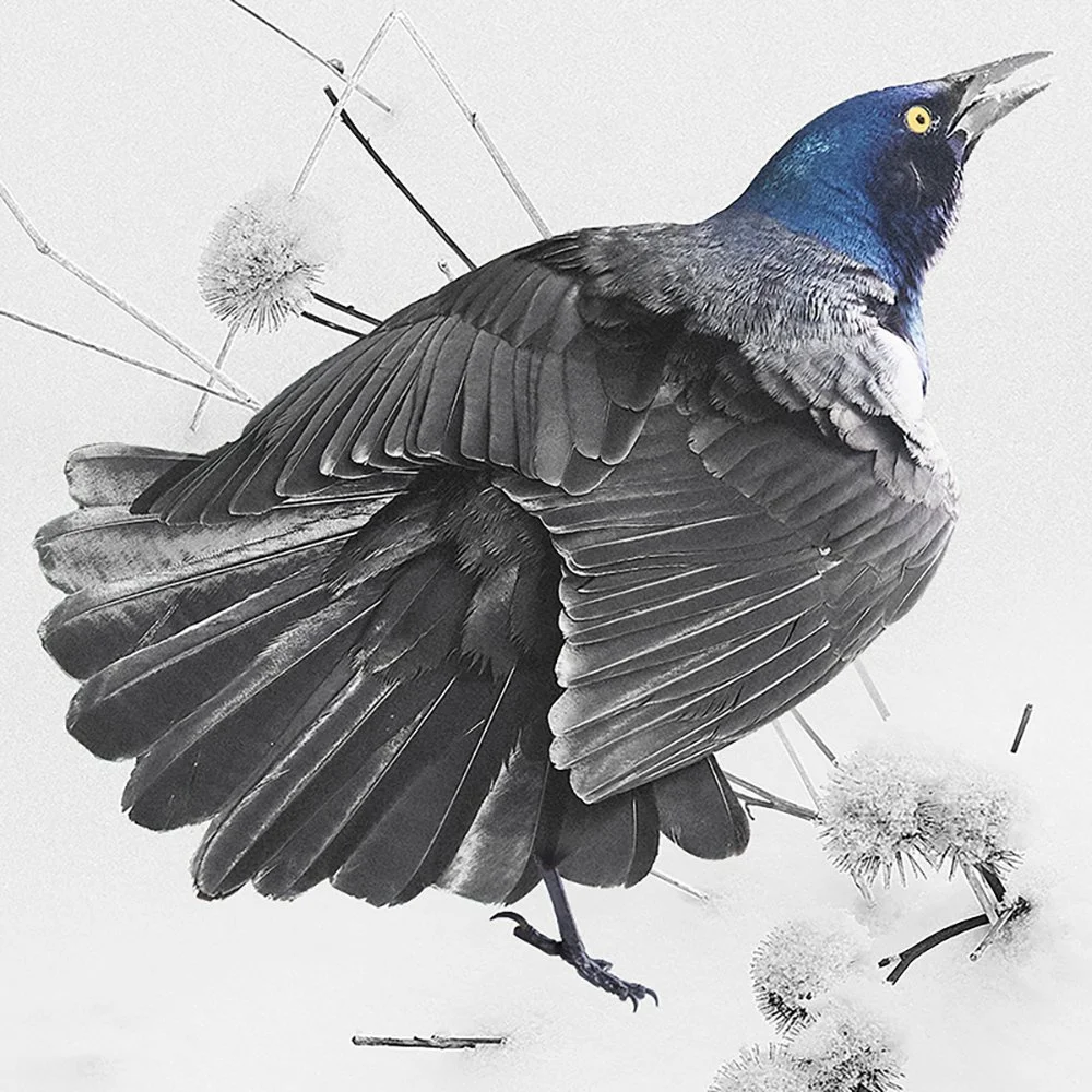   24×24 po / 60×60cm  