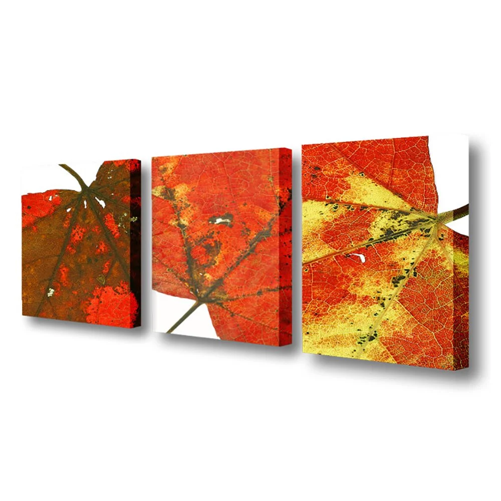 marc cramer-1000x100px72-Feuilles d'automne.jpg