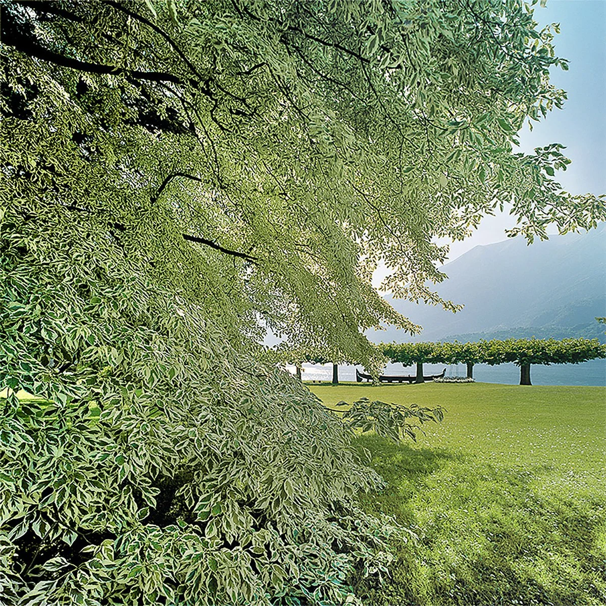 marccramer-Villa Melzi-3424-1500x1500.jpg